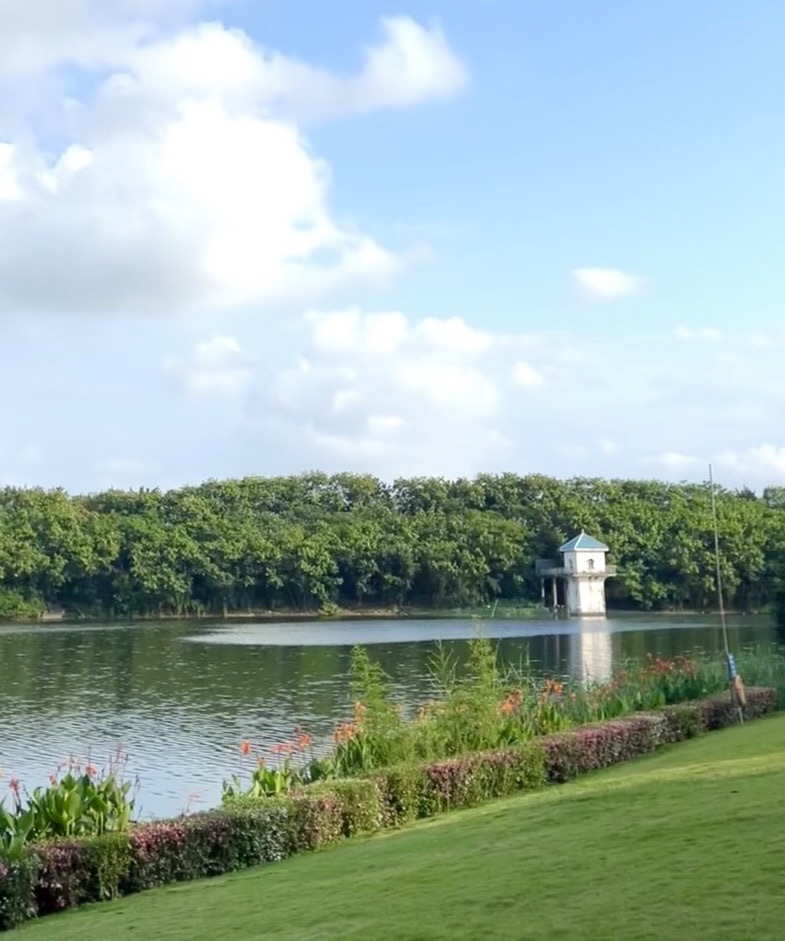 相思湖公园旅行图片 1