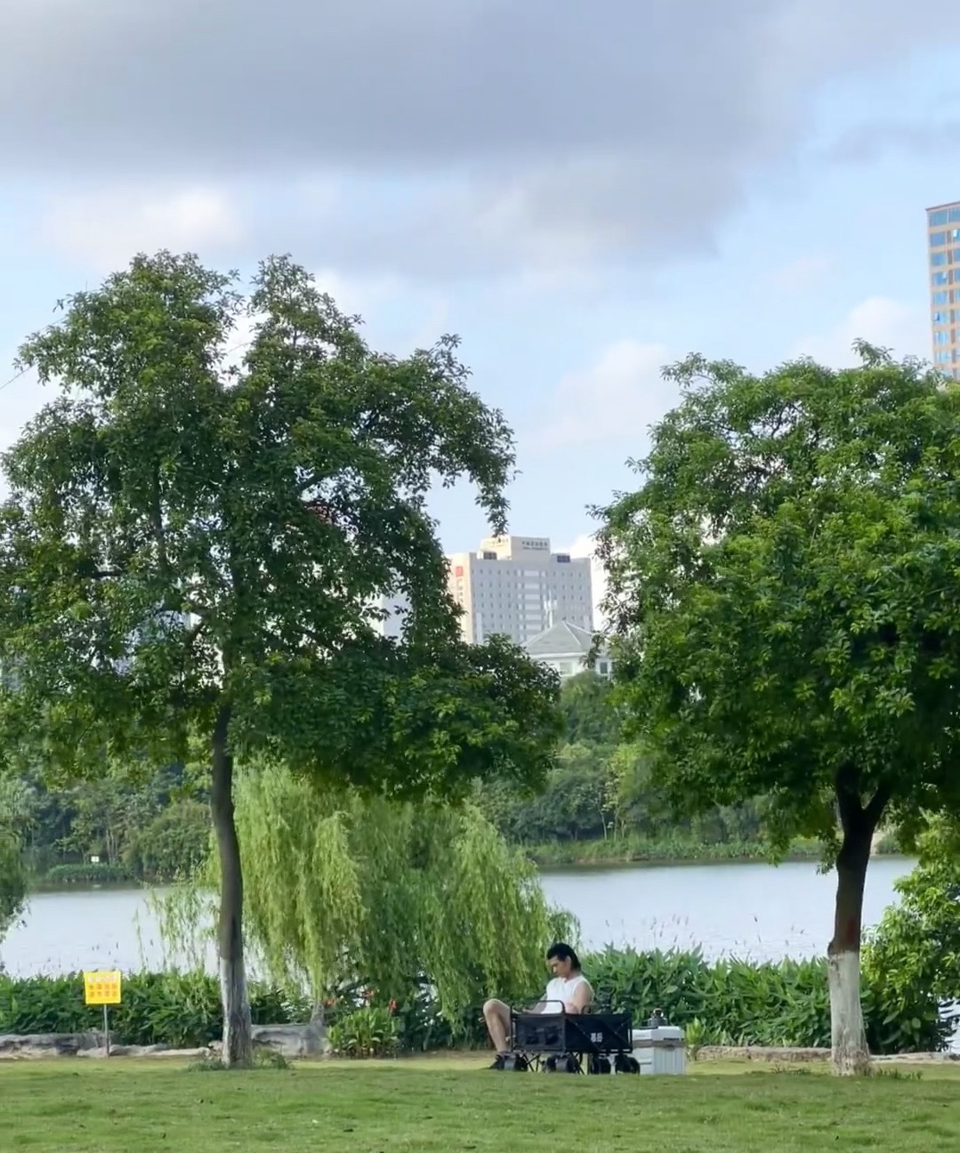 相思湖公园旅行图片 2