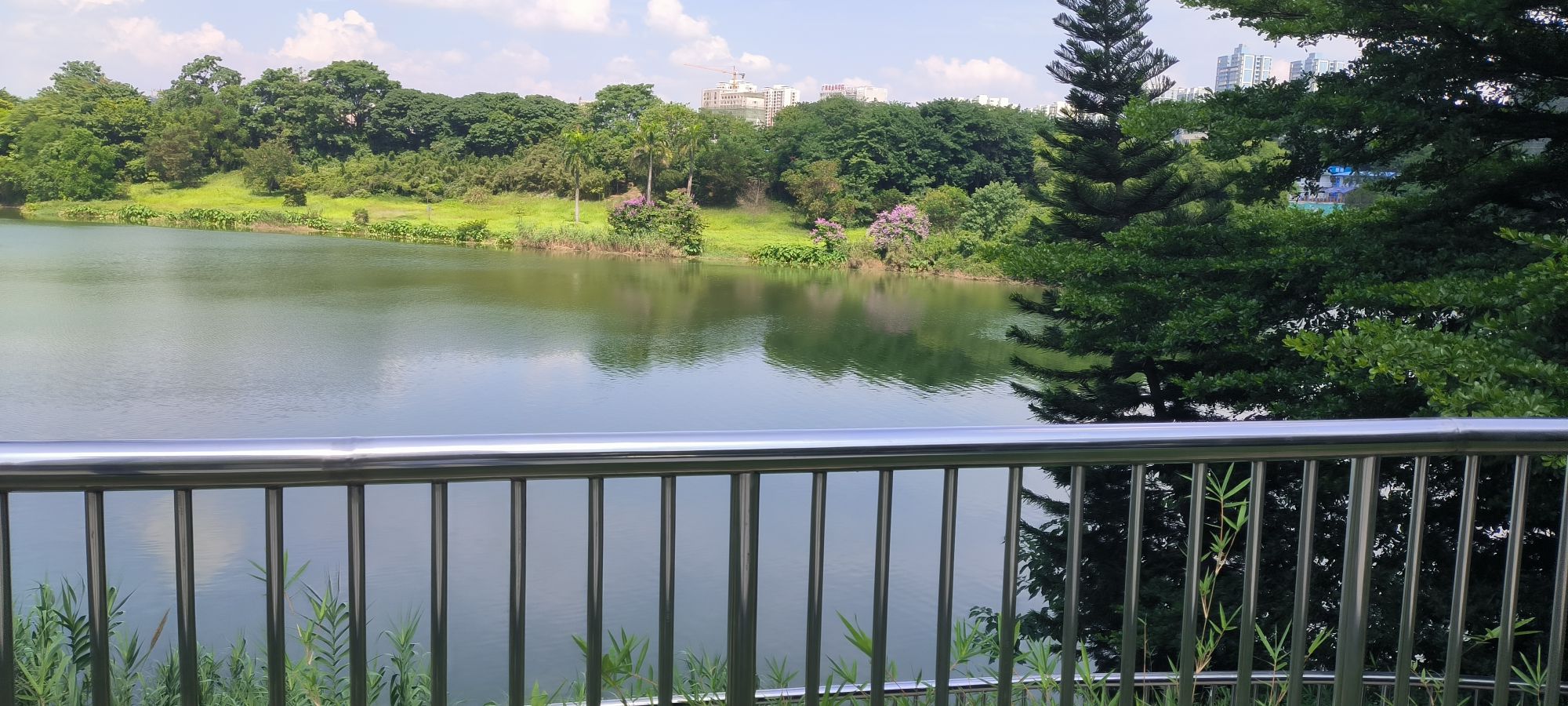相思湖公园旅行图片 1