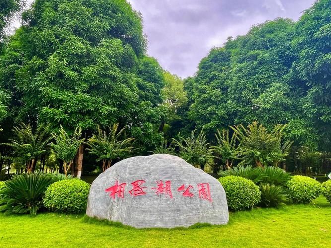 相思湖公园景点图片