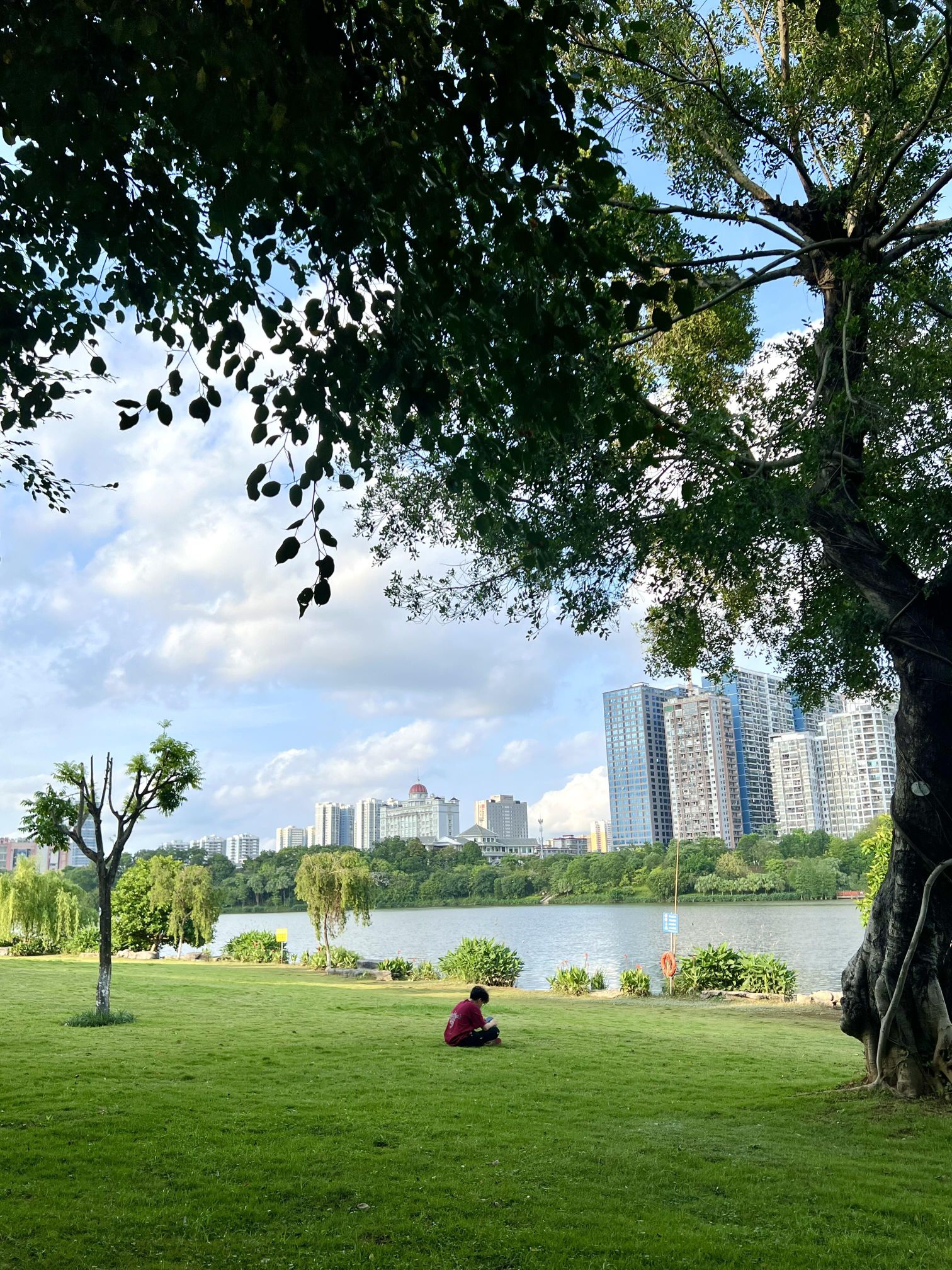 相思湖公园旅行图片 3