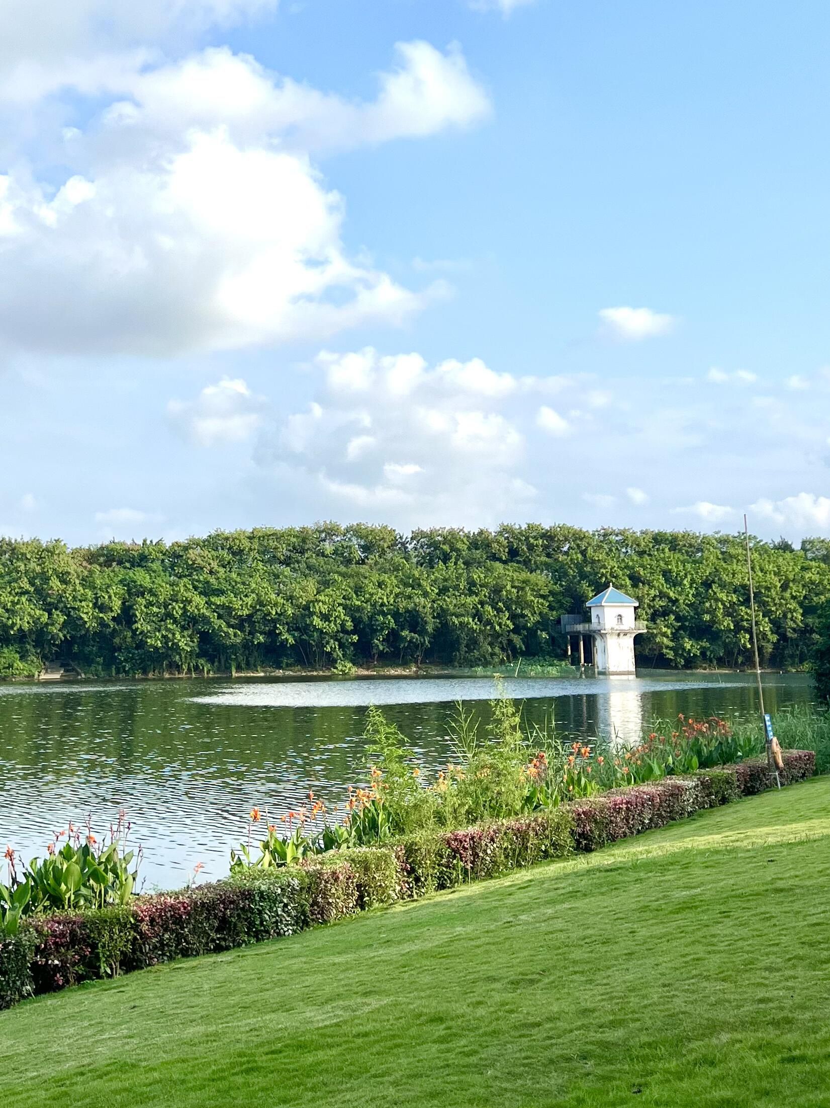 相思湖公园旅行图片 2