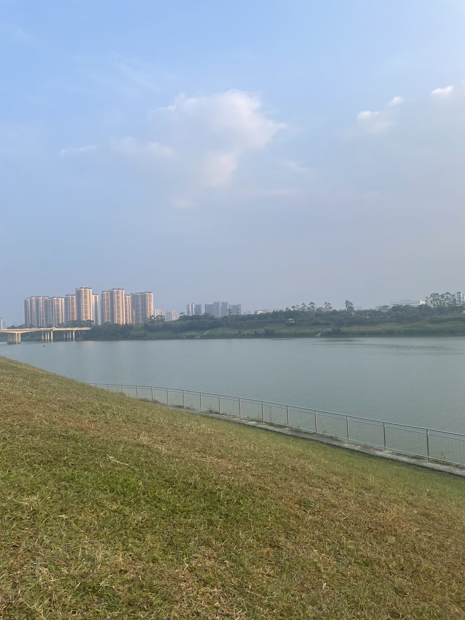 相思湖公园旅行图片 2