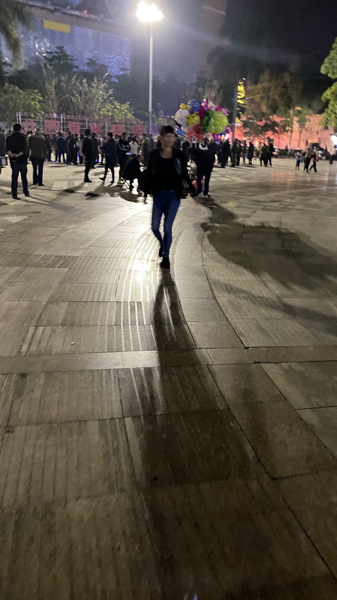南宁市武鸣区文化中心广场旅行图片 1