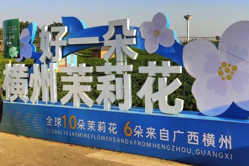 中华茉莉园旅行图片 1