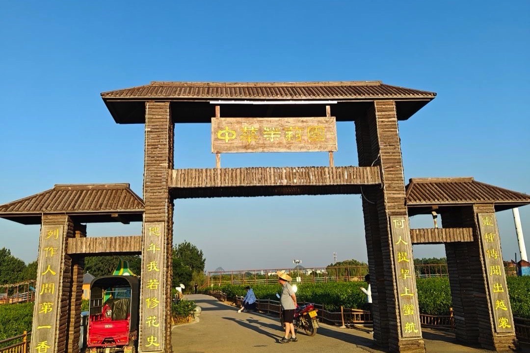 中华茉莉园旅行图片 2