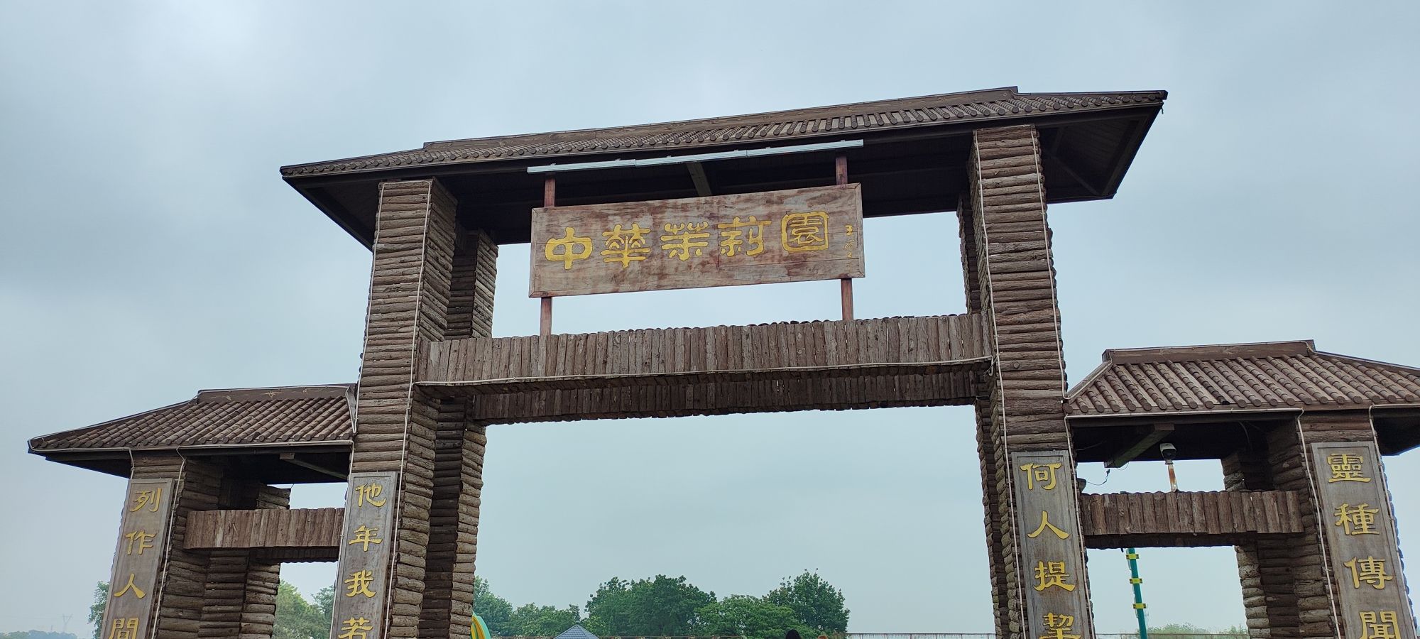中华茉莉园旅行图片 2