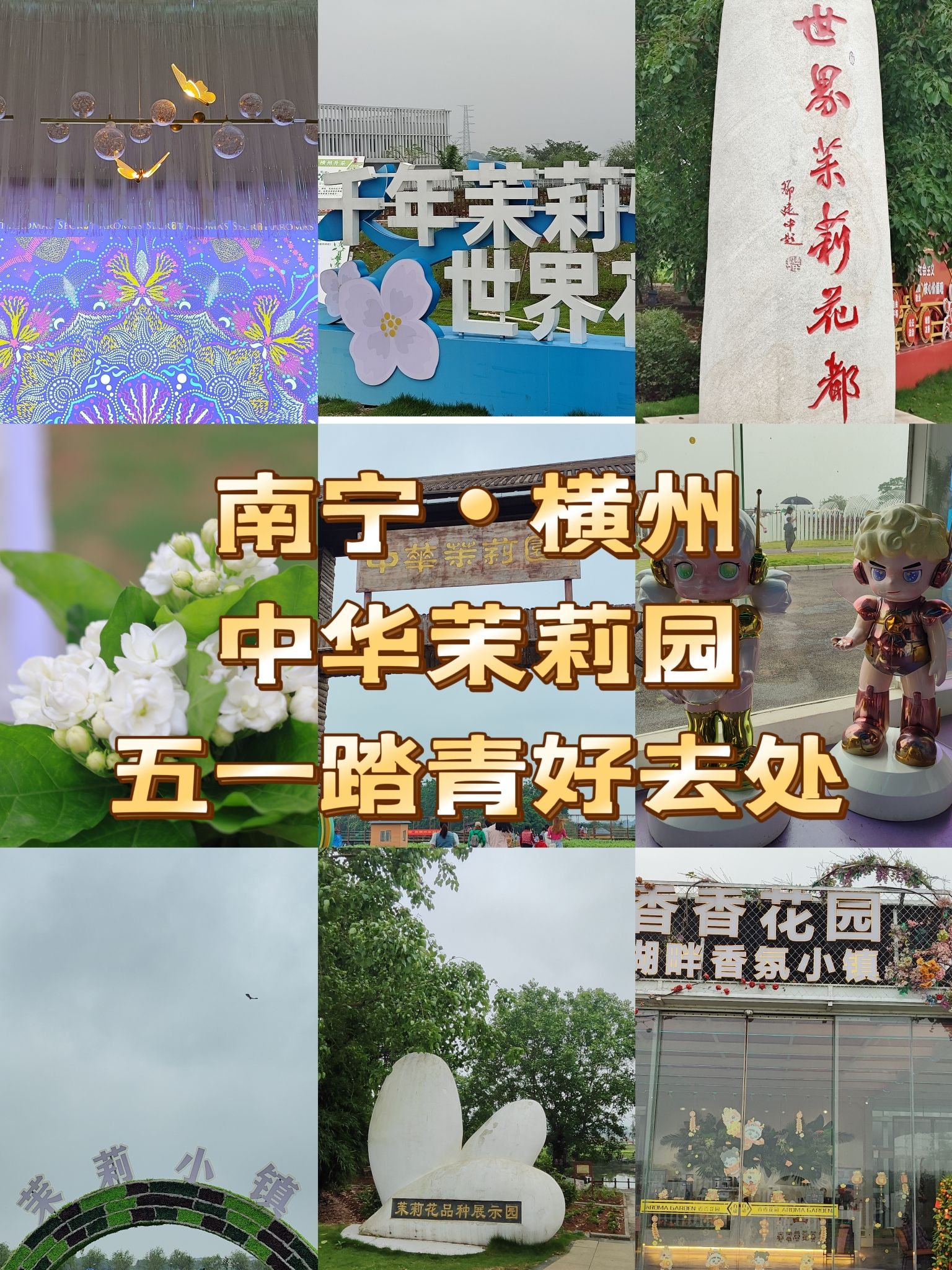 中华茉莉园旅行图片 1