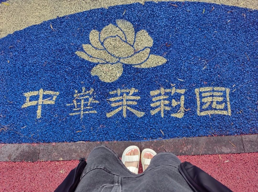中华茉莉园旅行图片 1