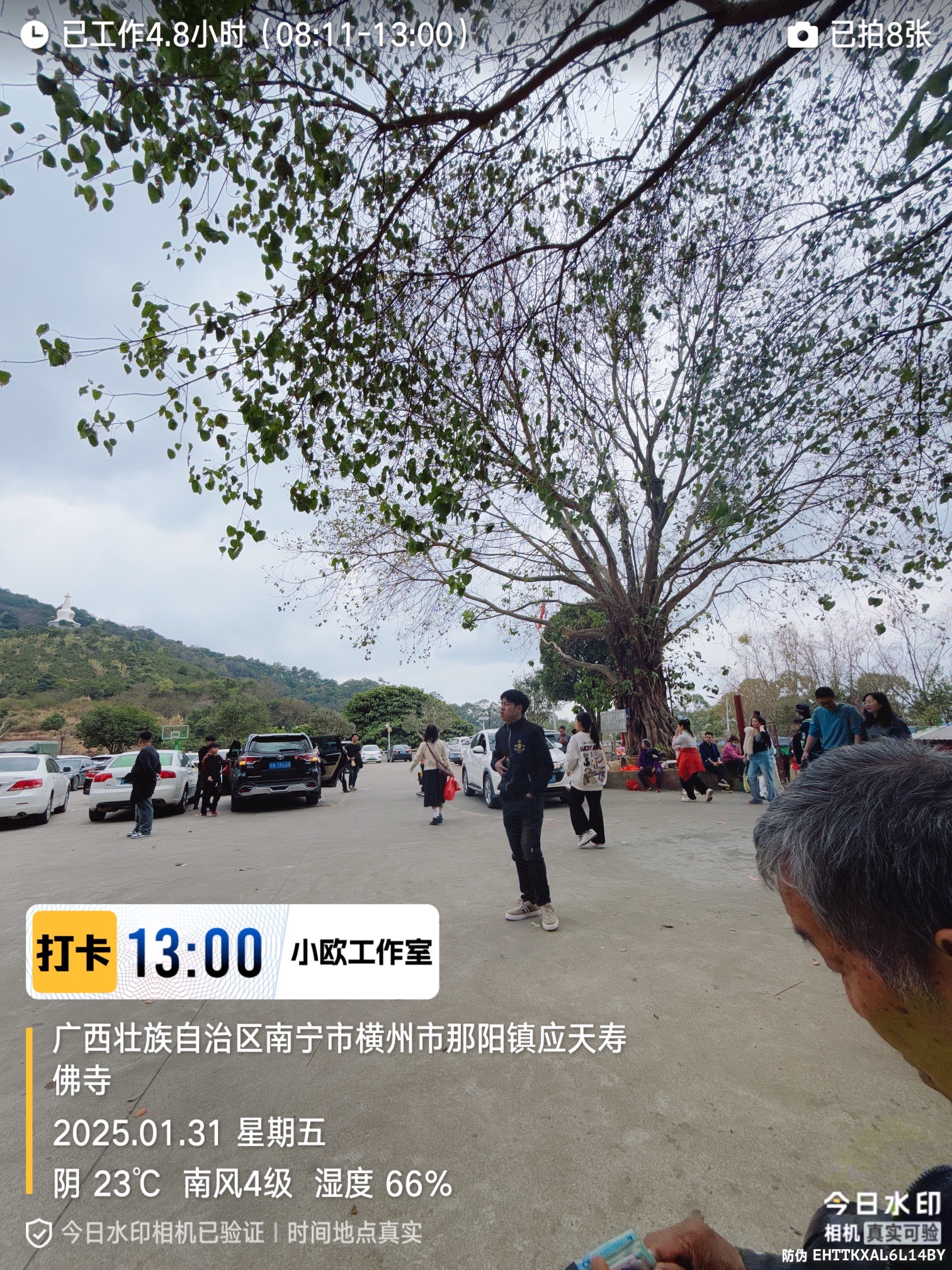 宝华山风景区旅行图片 2
