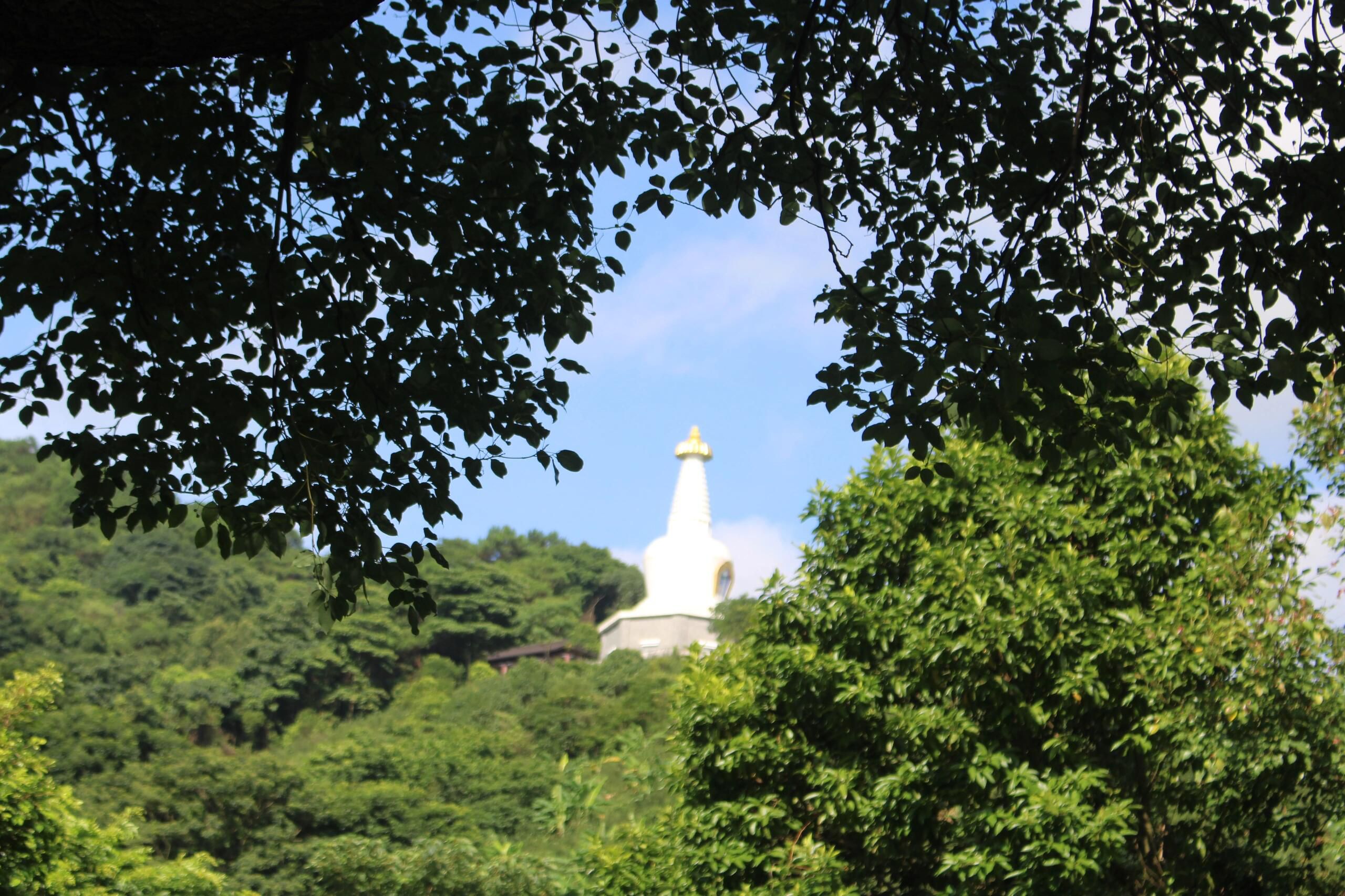 宝华山风景区旅行图片 3