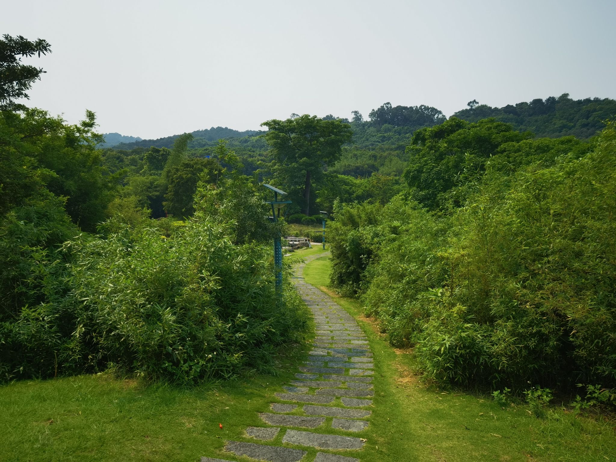 青秀湖公园旅行图片 3