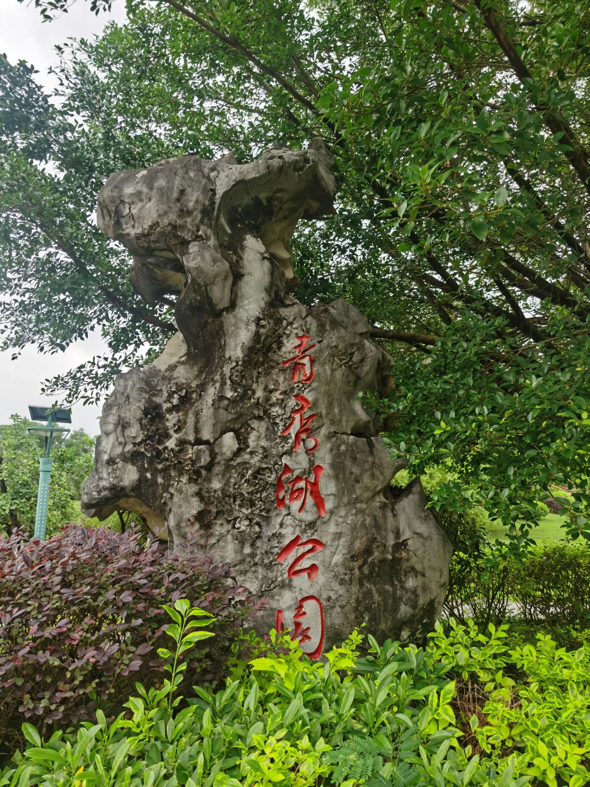 青秀湖公园旅行图片 1