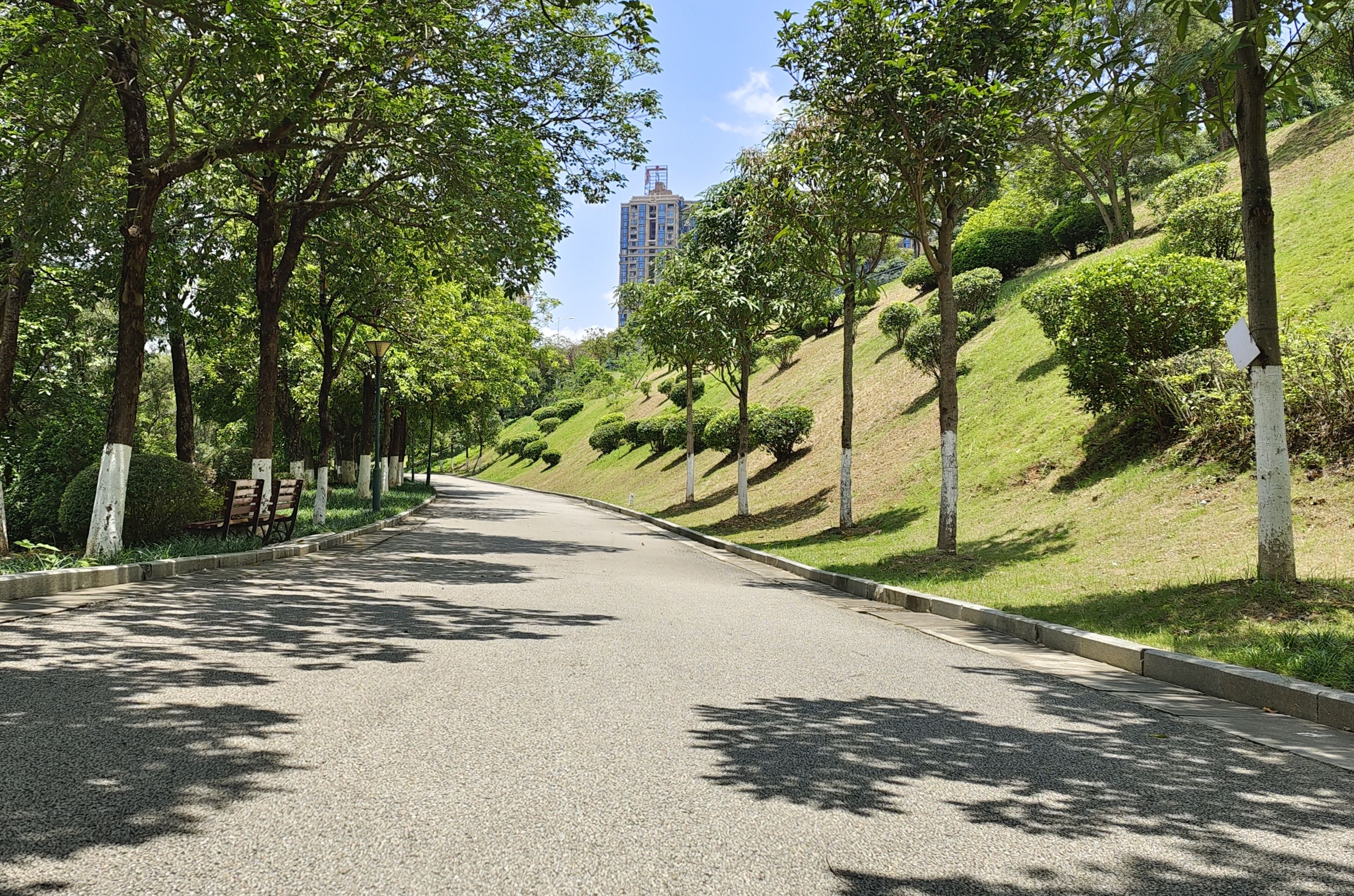 青秀湖公园旅行图片 3