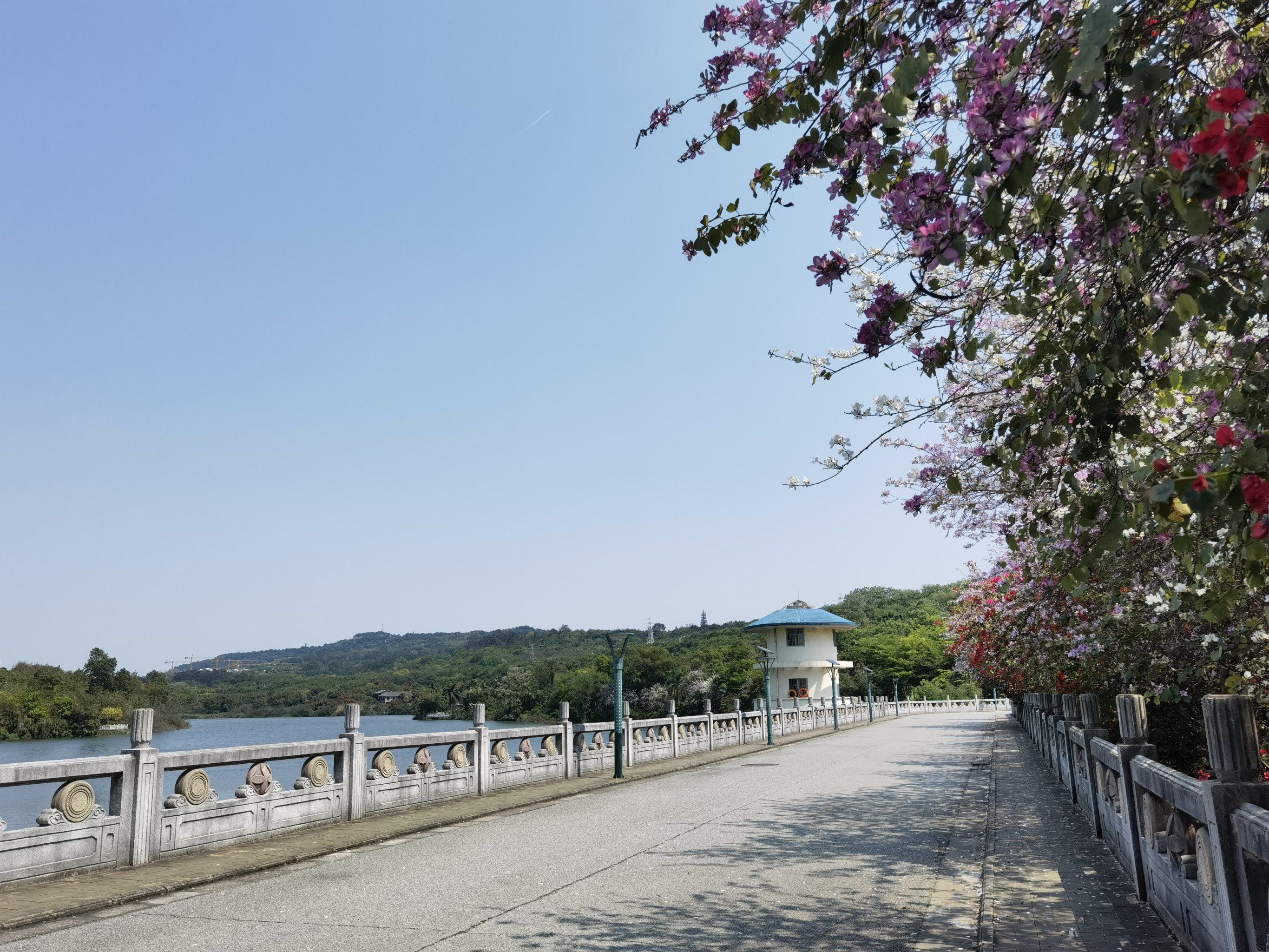青秀湖公园旅行图片 1