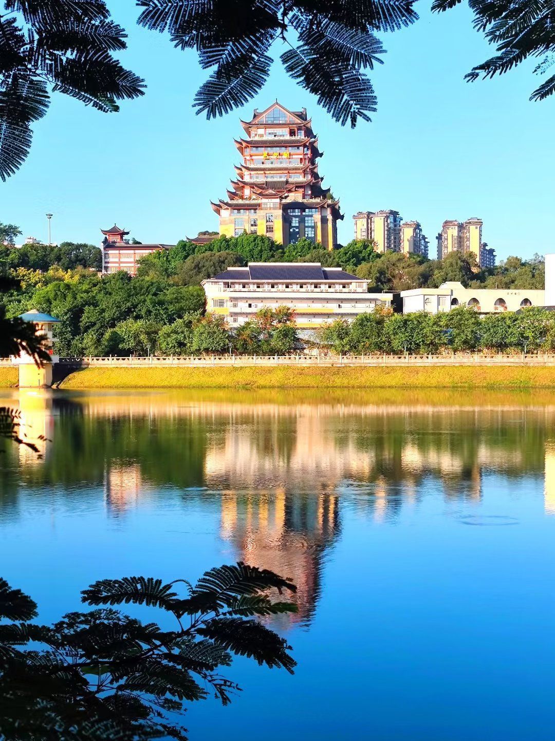 青秀湖公园旅行图片 2