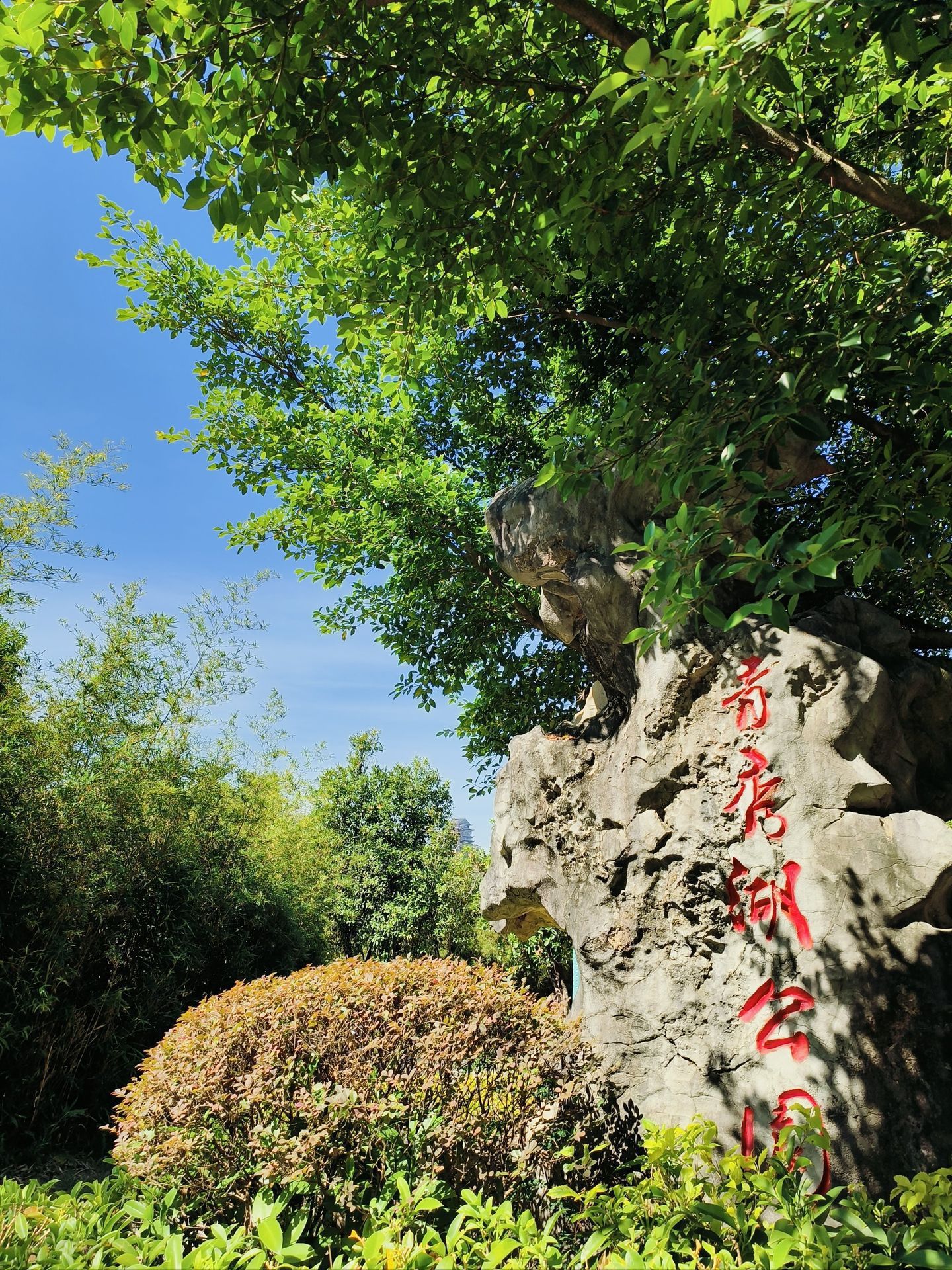 青秀湖公园旅行图片 3