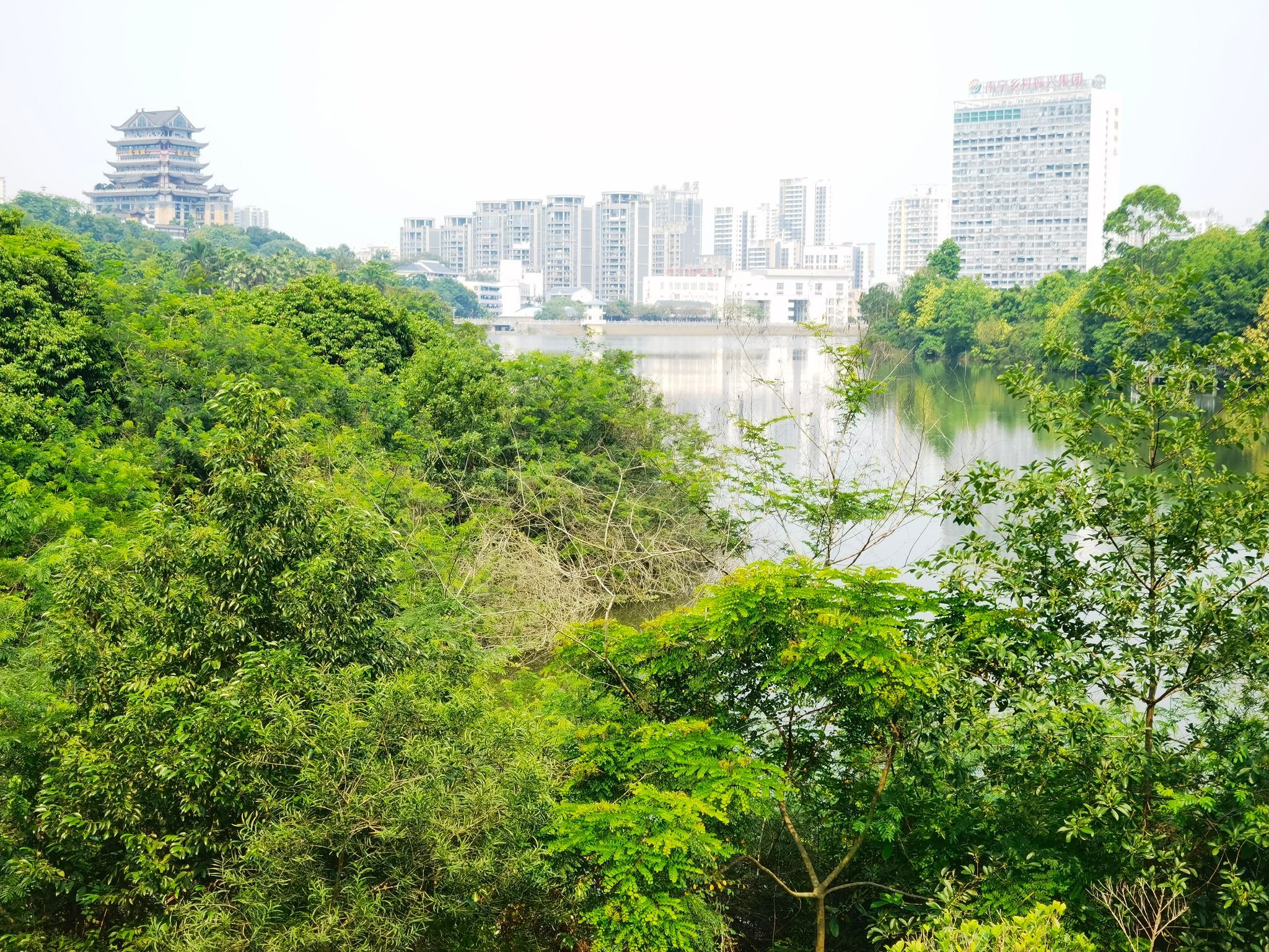 青秀湖公园旅行图片