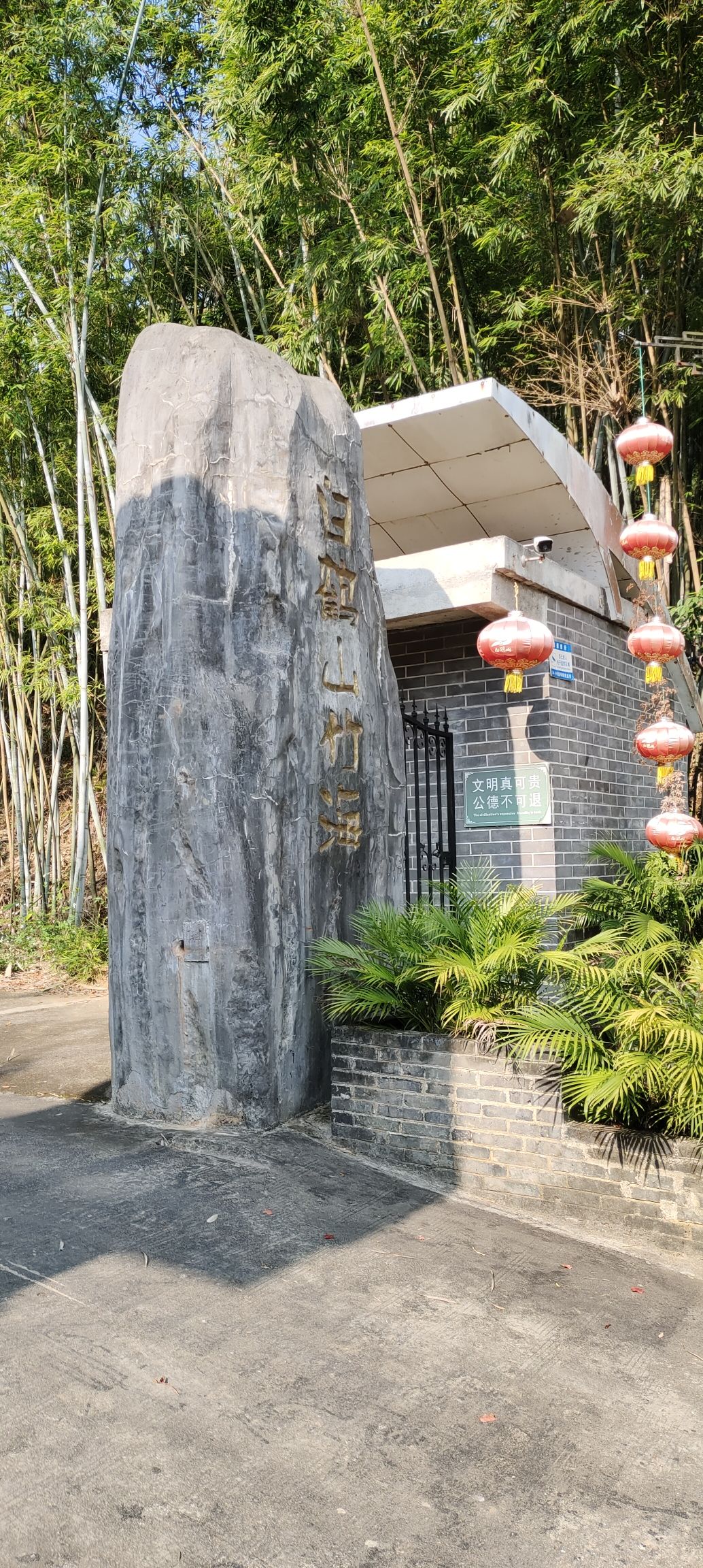 白鹤观竹海旅行图片 1