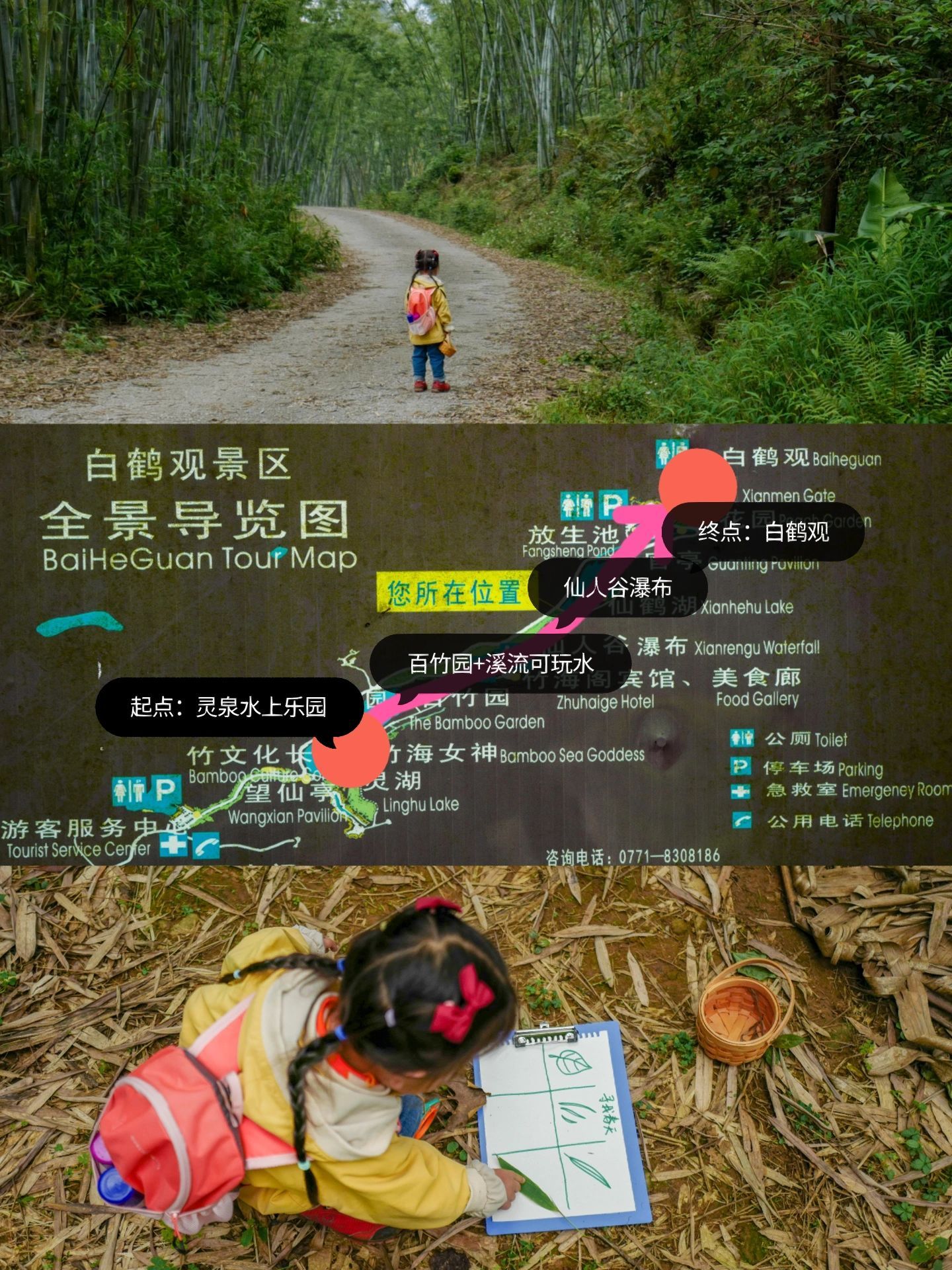 白鹤观竹海旅行图片 2