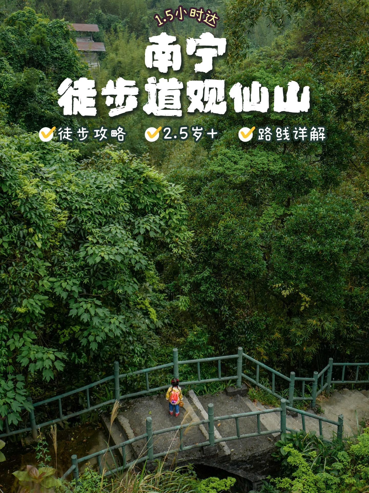 白鹤观竹海旅行图片 1