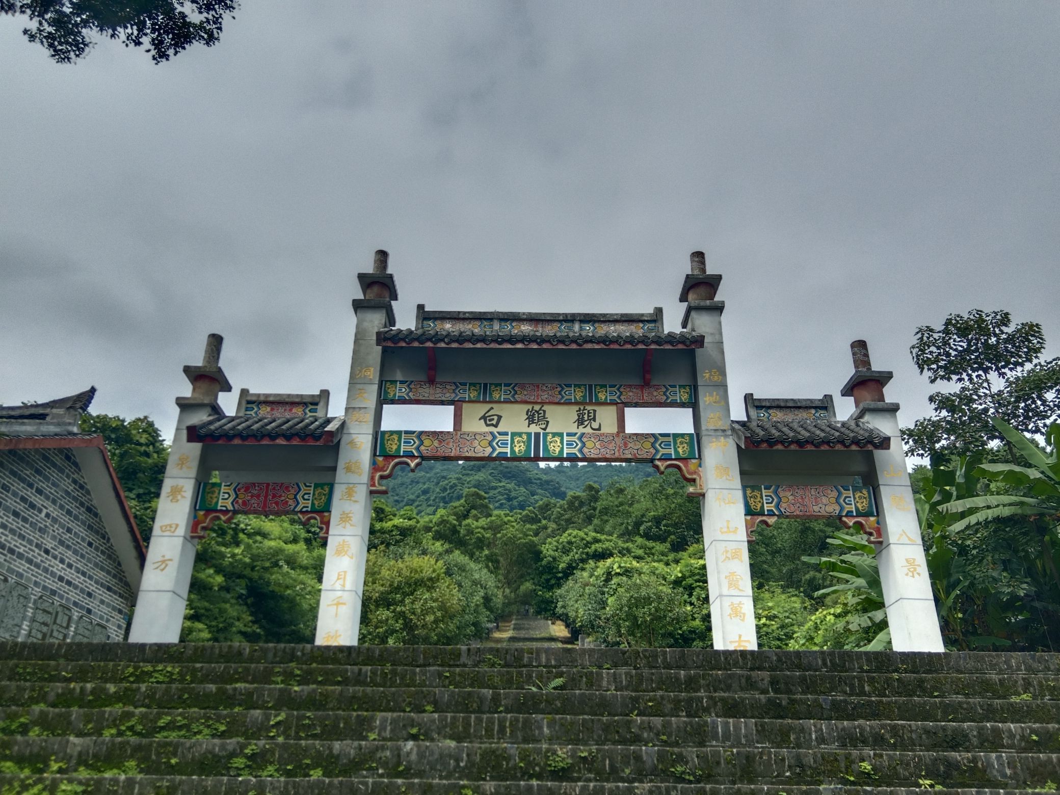 白鹤观竹海旅行图片 1