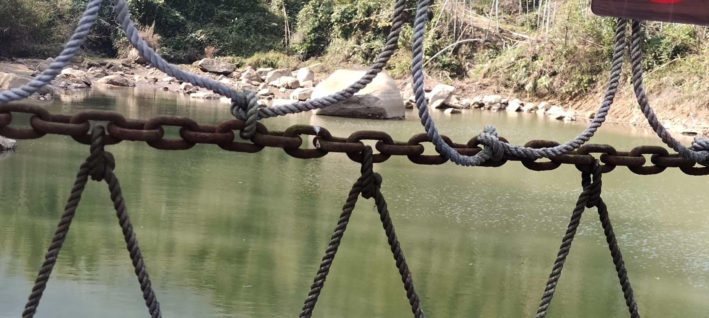 白鹤观竹海旅行图片 3