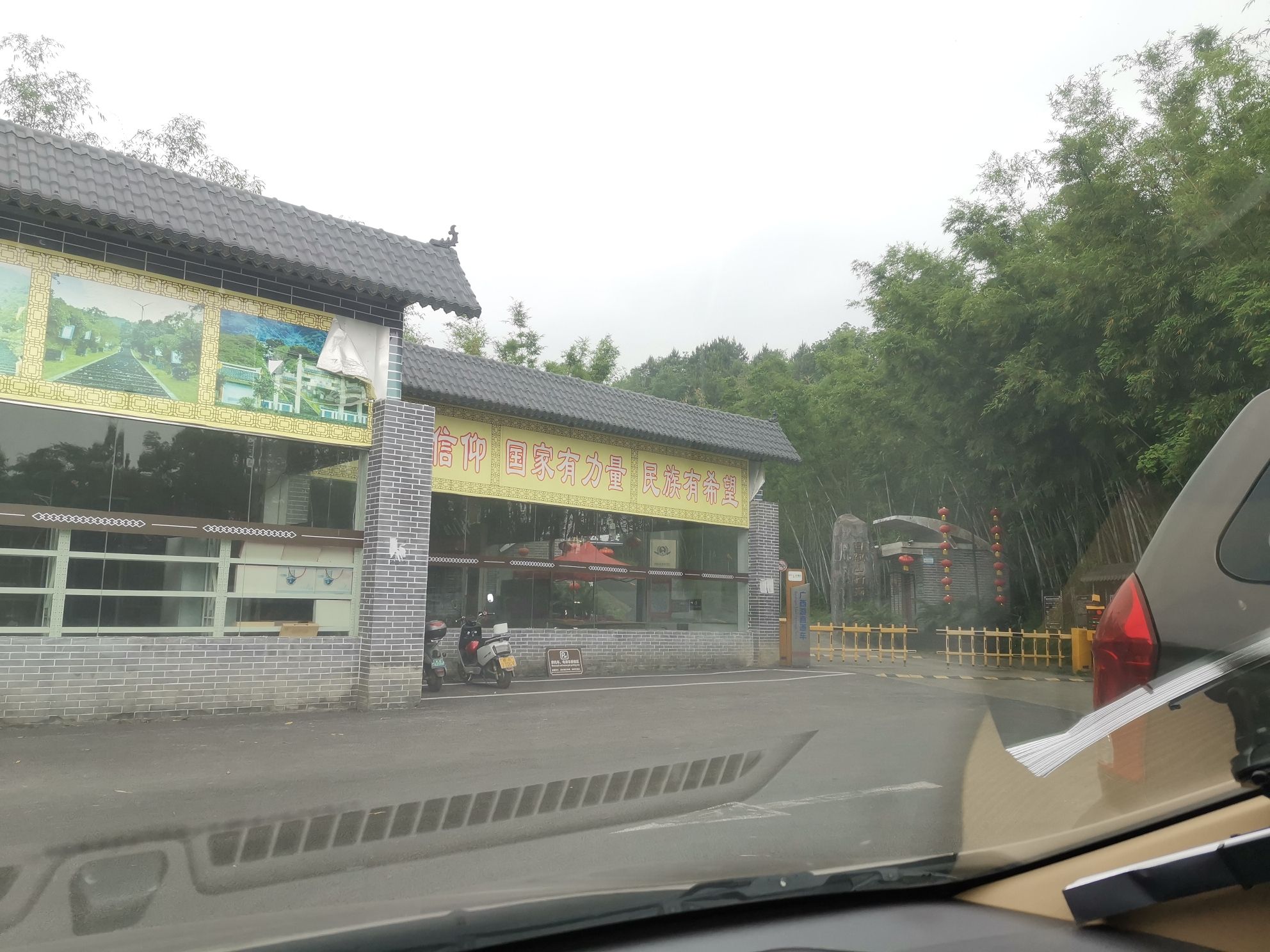 白鹤观竹海旅行图片 3