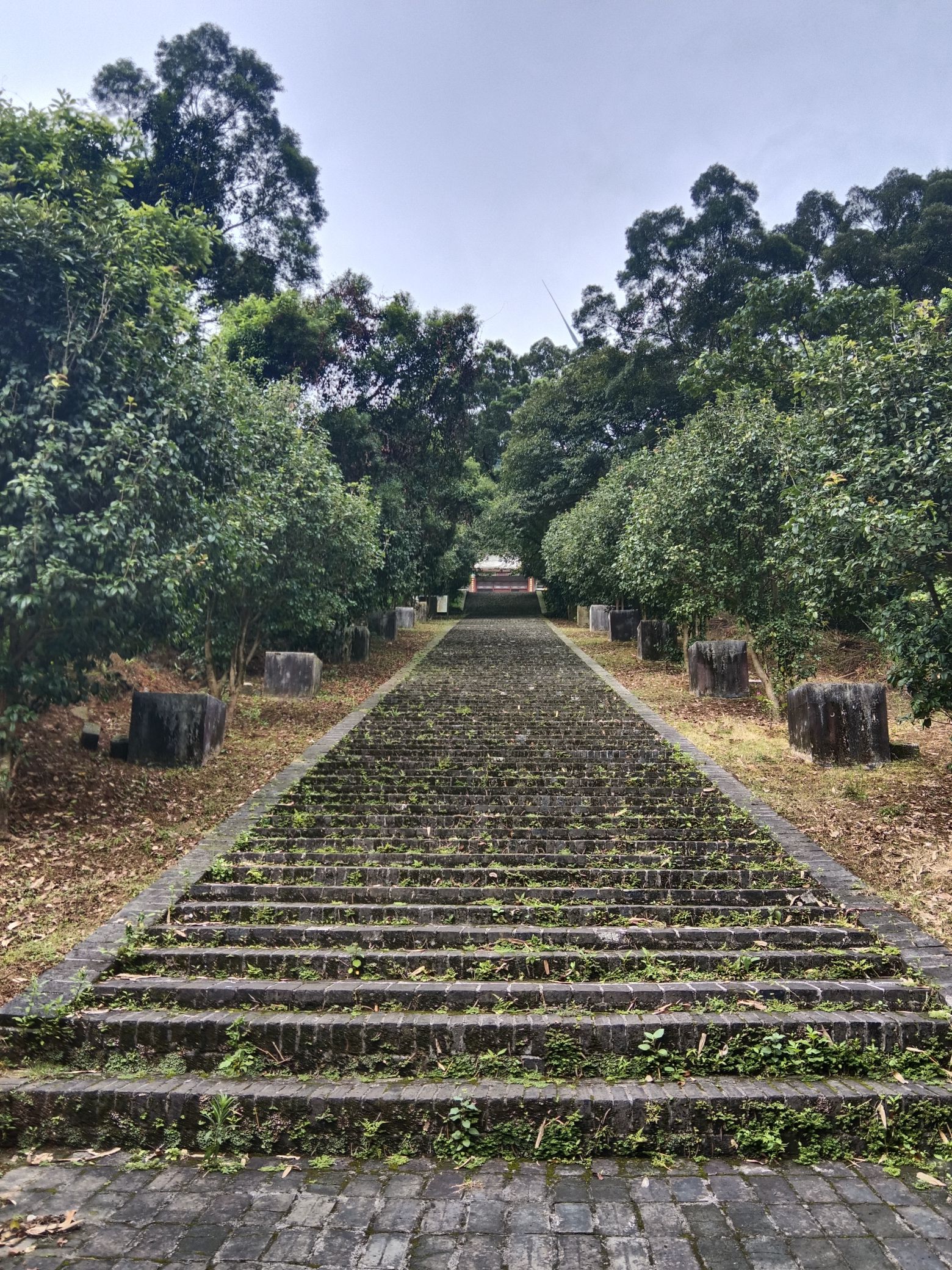 白鹤观竹海旅行图片 2
