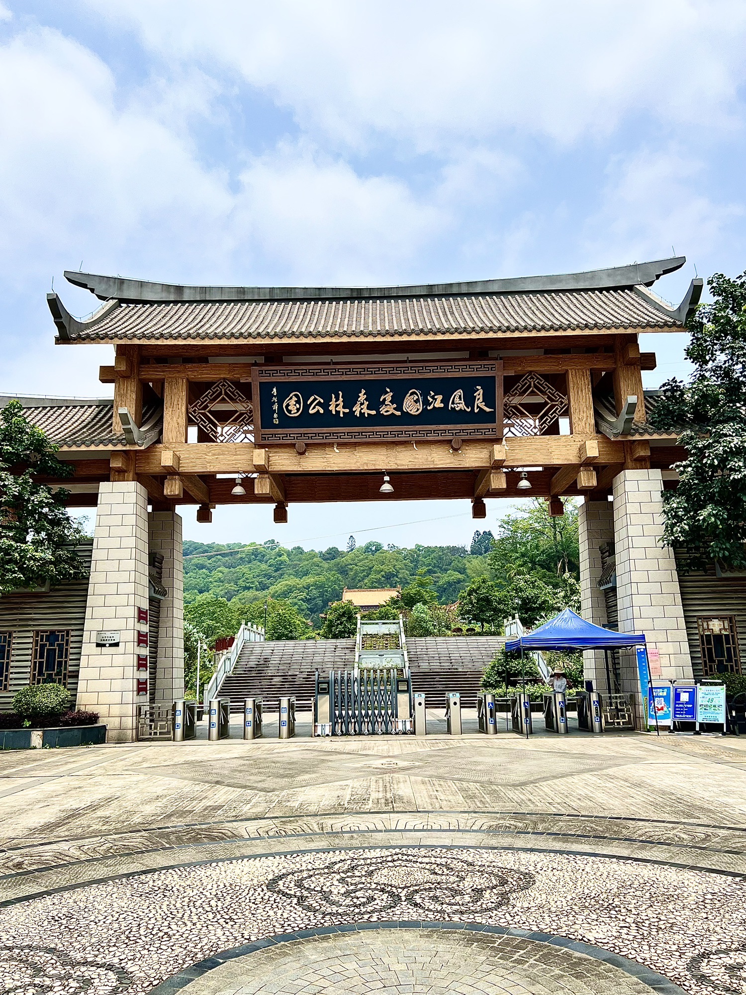 良凤江国家森林公园旅行图片 1
