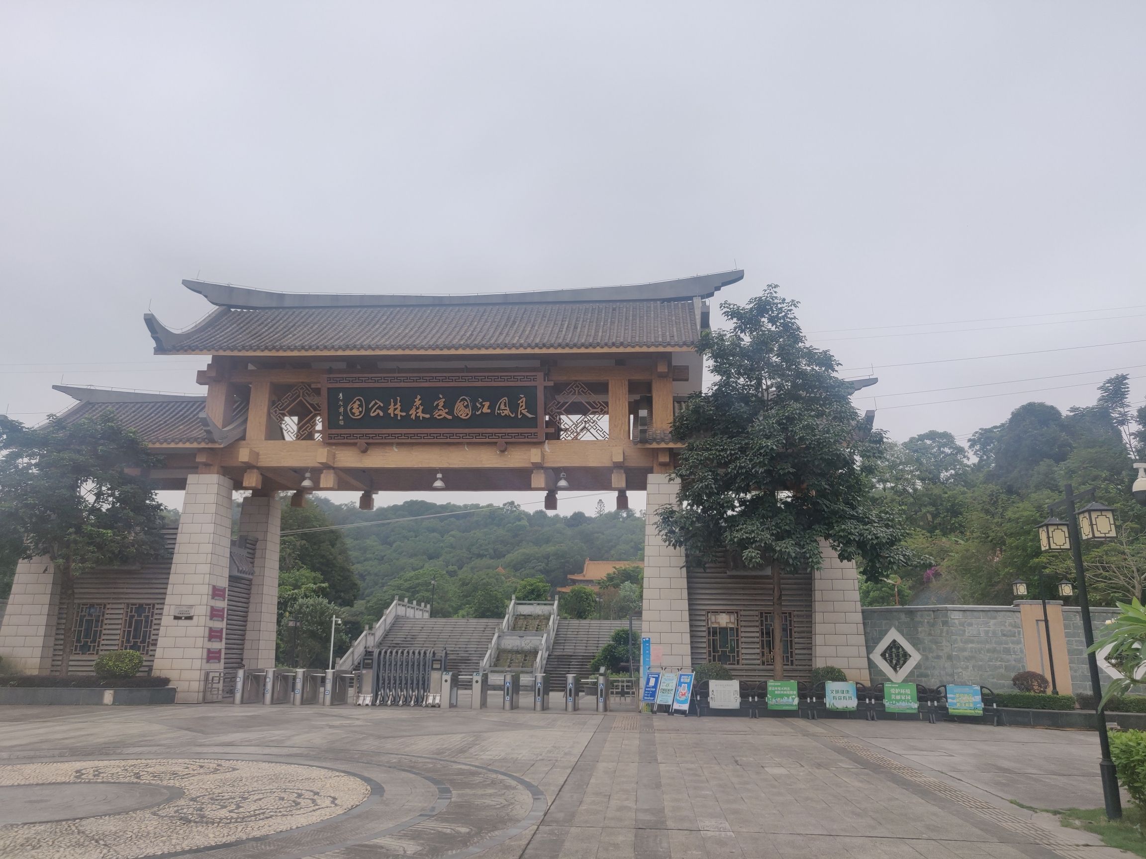 良凤江国家森林公园旅行图片 1