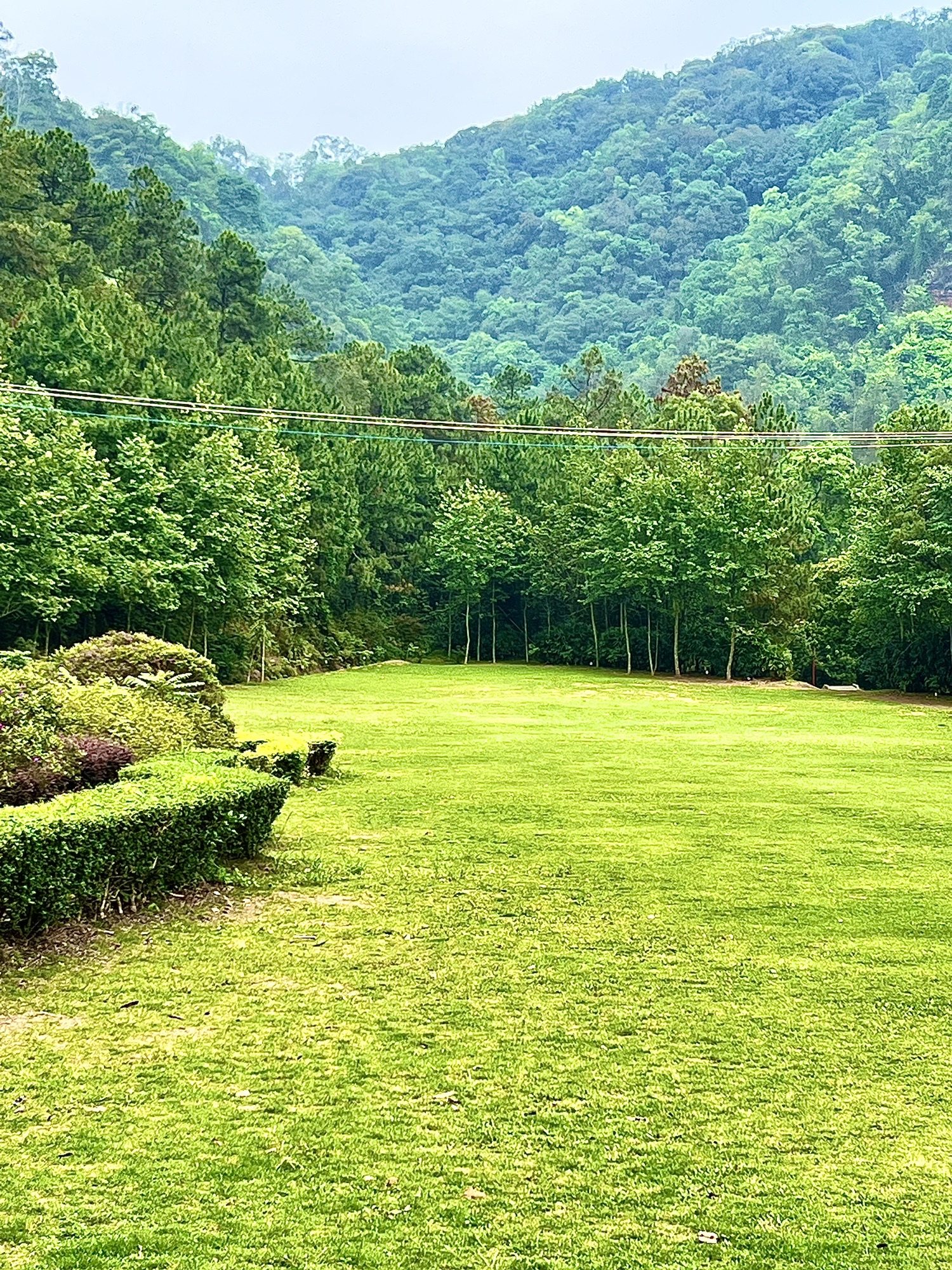 良凤江国家森林公园旅行图片 2