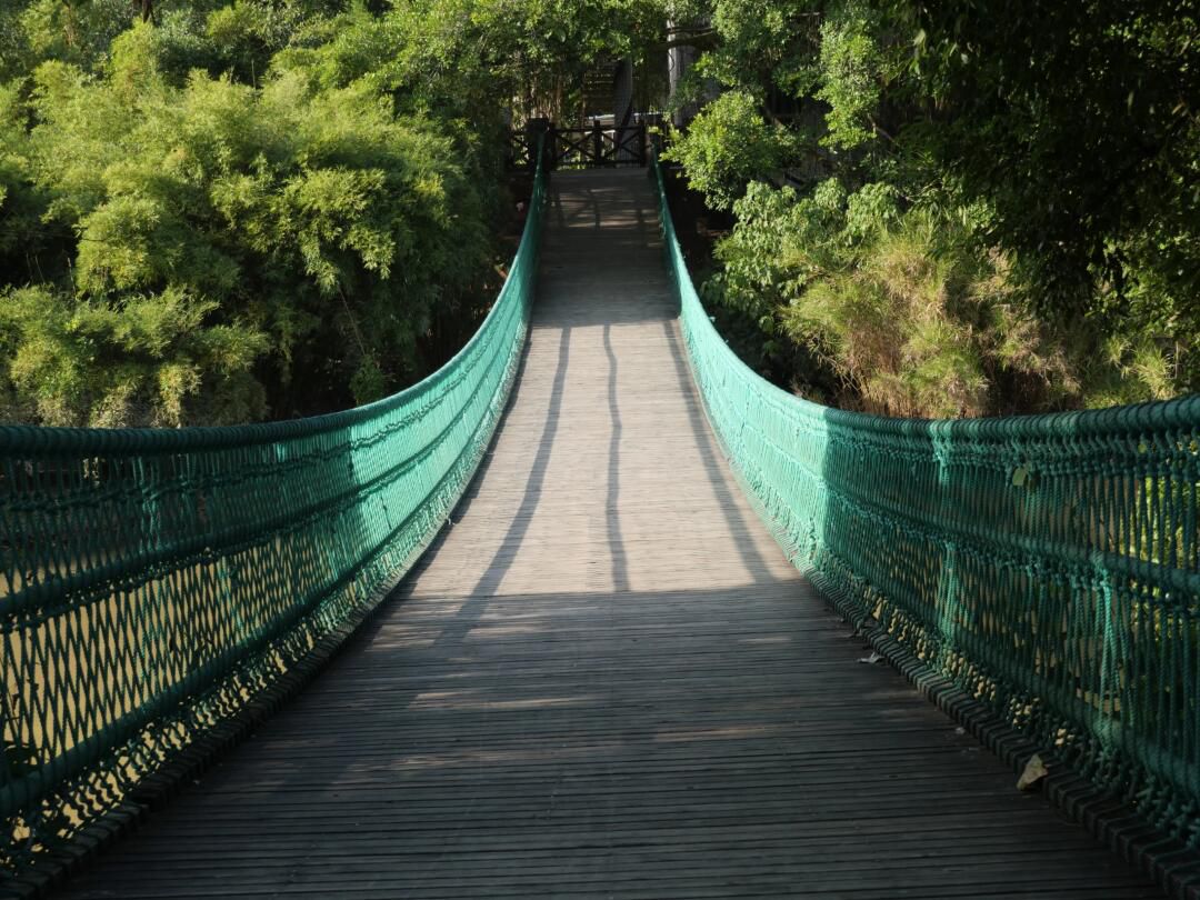 良凤江国家森林公园旅行图片 3