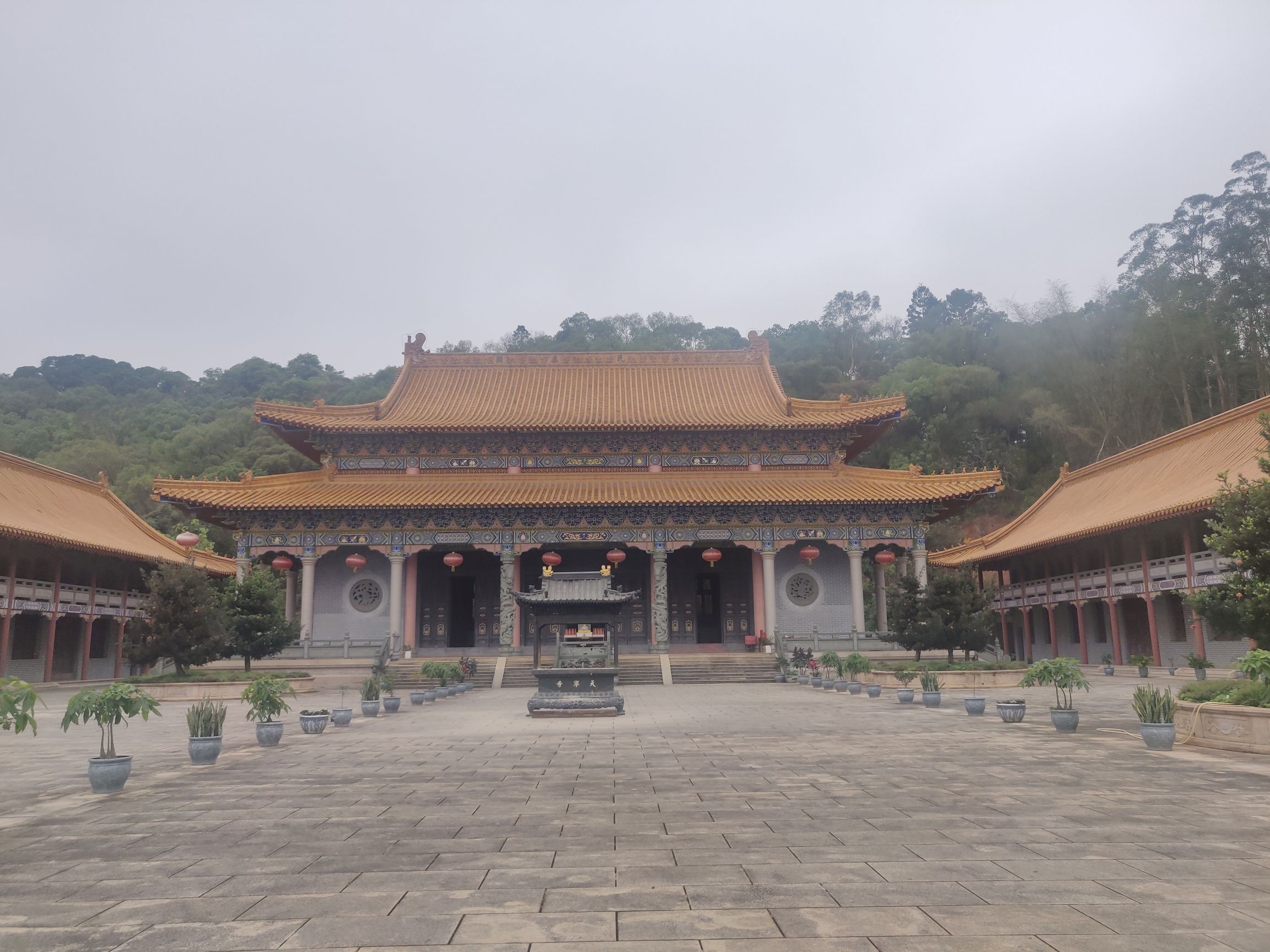 良凤江国家森林公园旅行图片 2