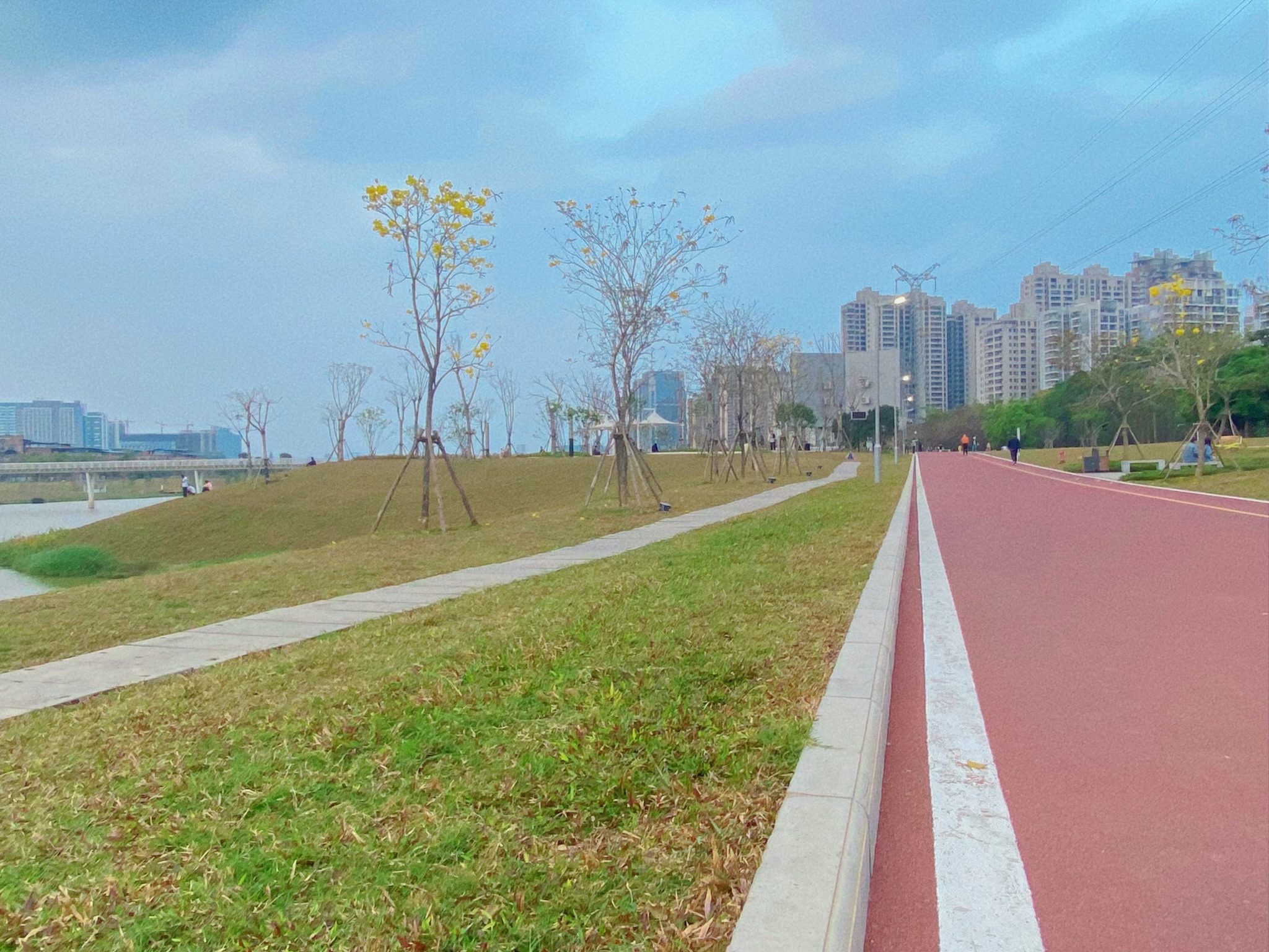 明月湖公园旅行图片 3