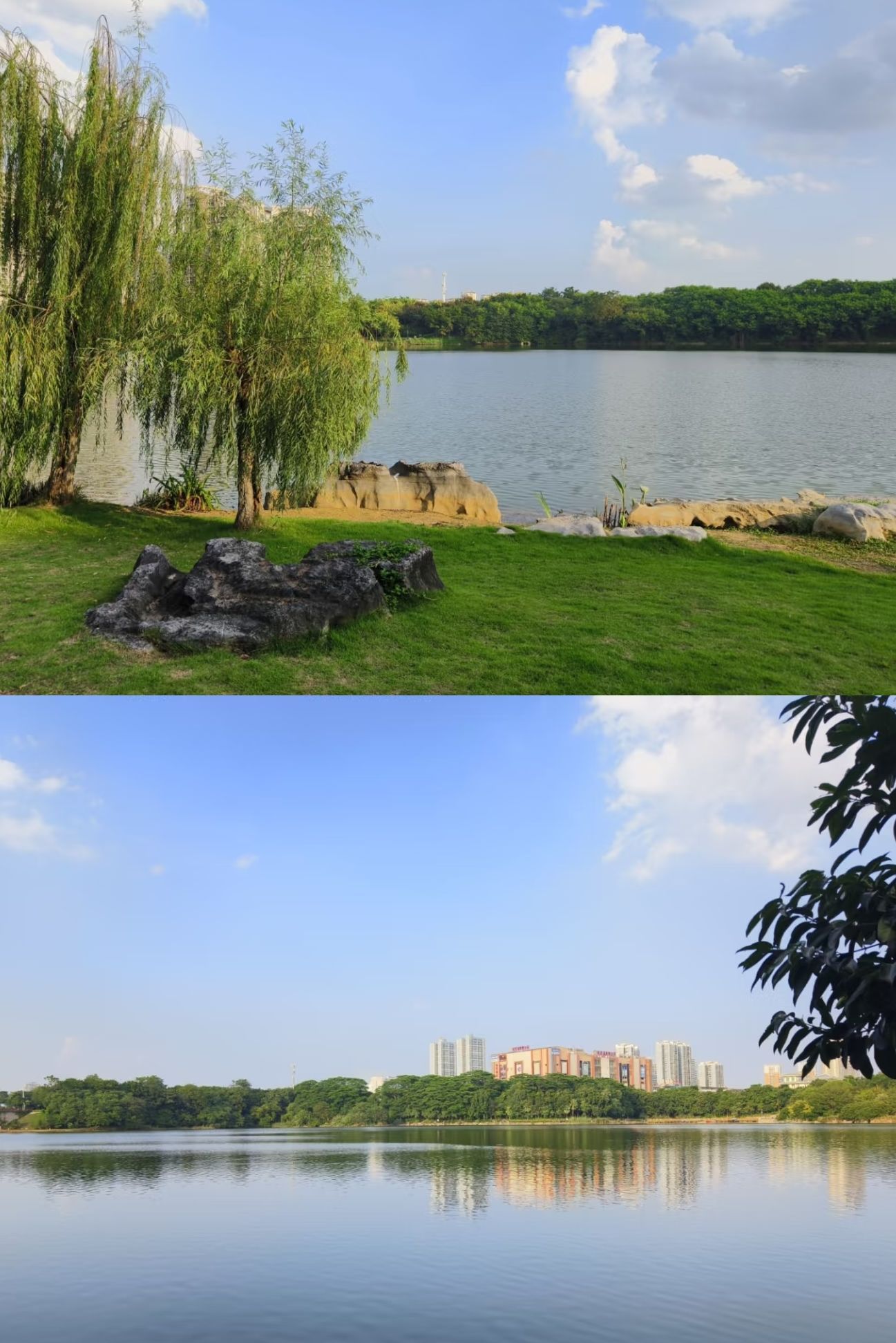 明月湖公园旅行图片 1