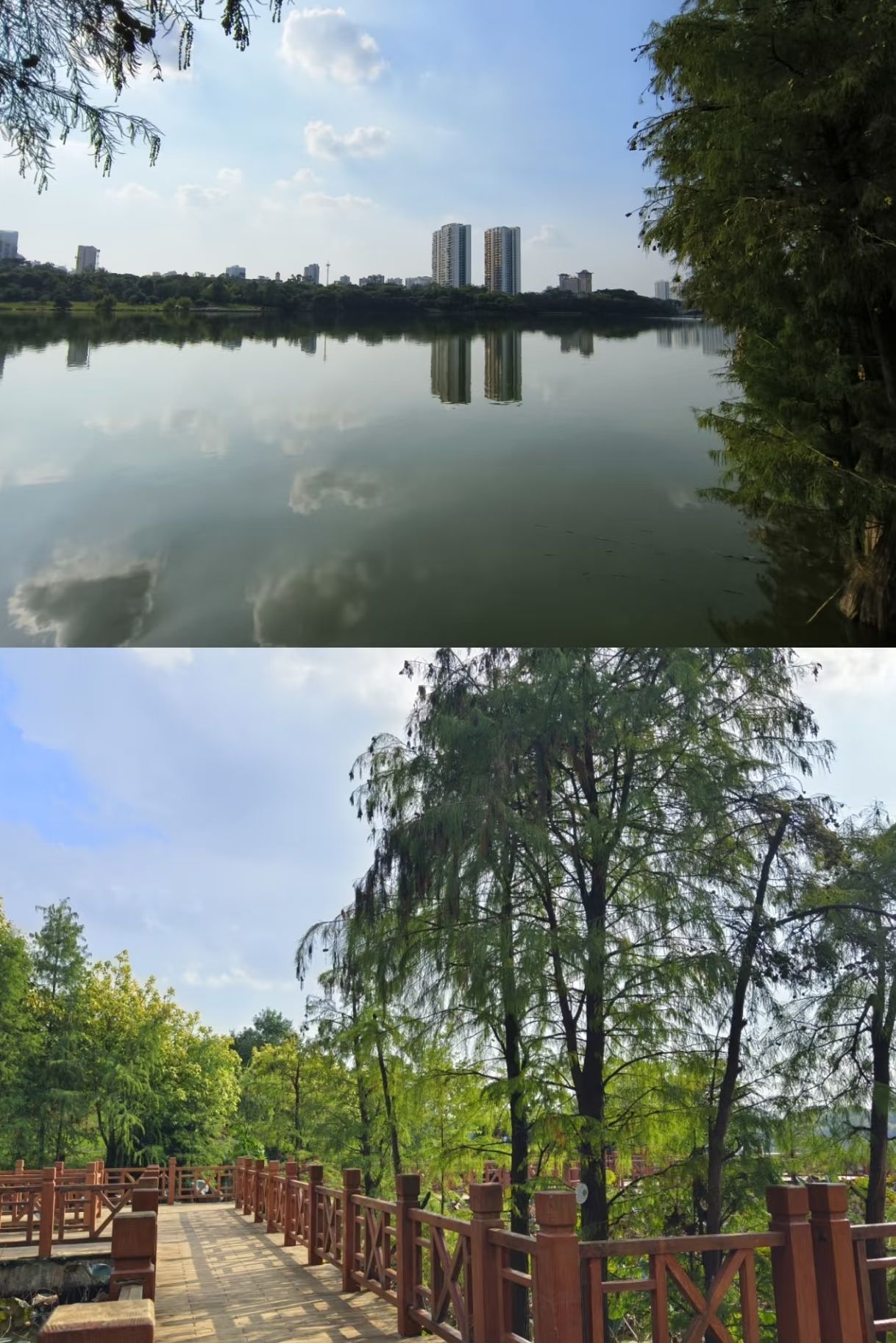 明月湖公园旅行图片 2