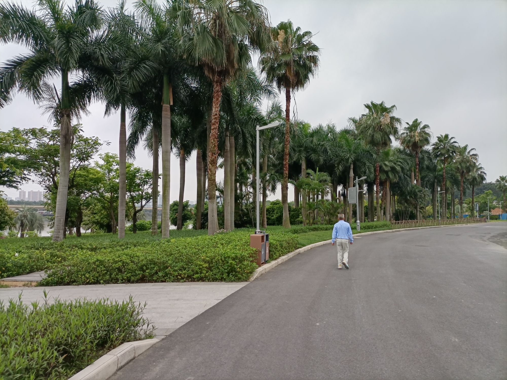 明月湖公园旅行图片 3