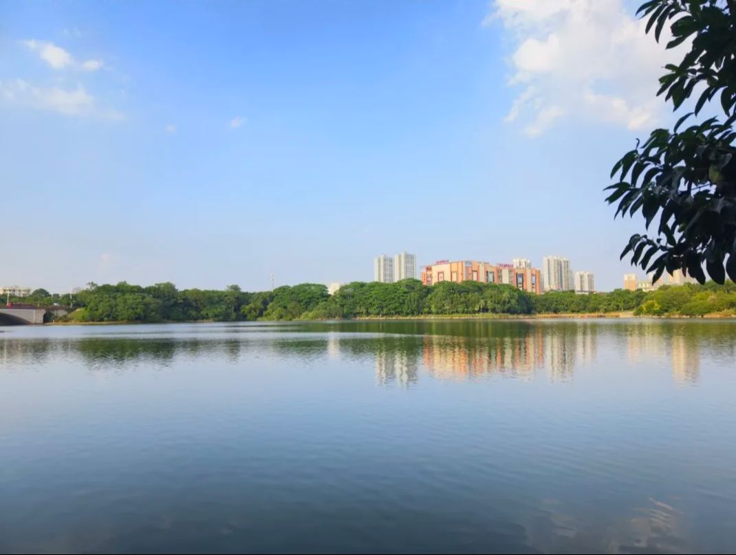 明月湖公园旅行图片 2
