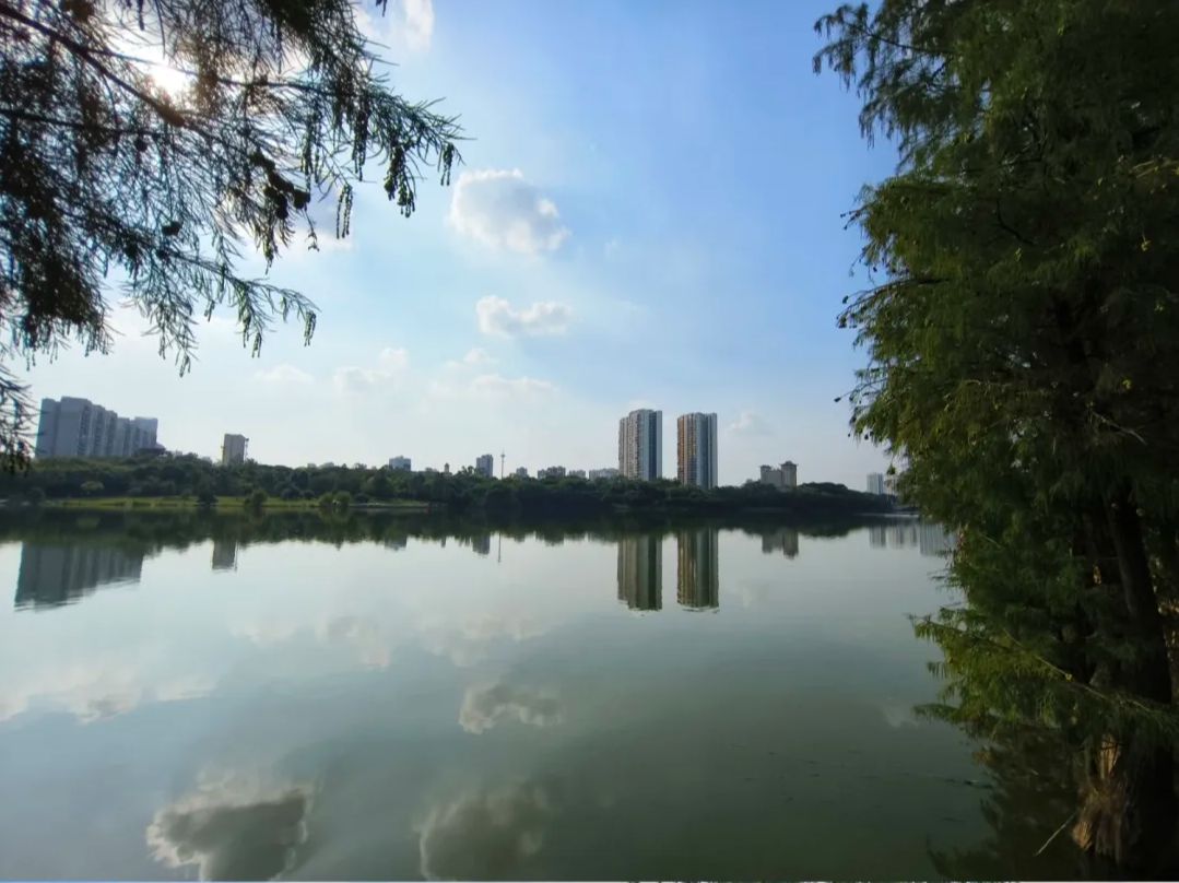 明月湖公园旅行图片 3