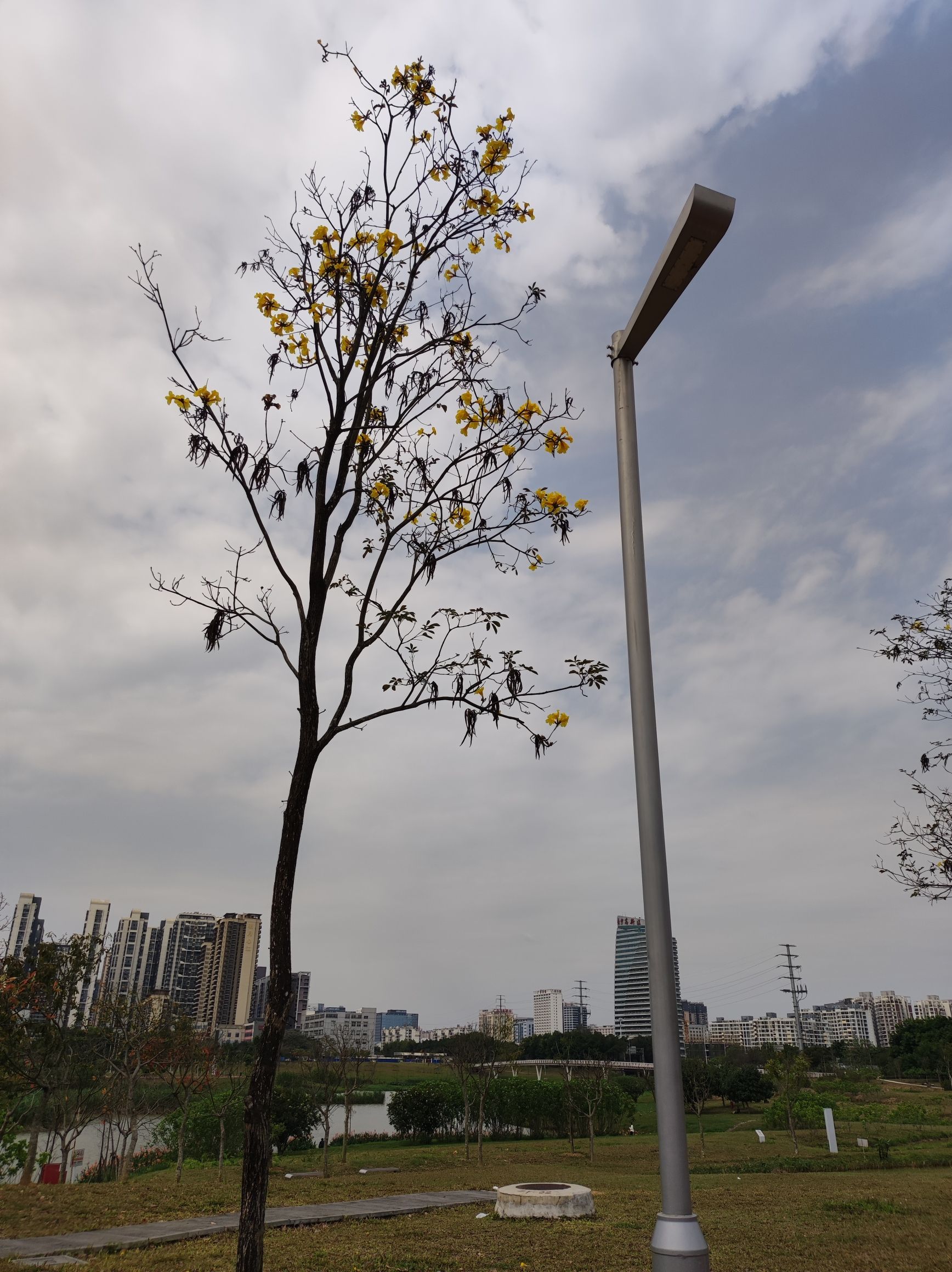 明月湖公园旅行图片 3