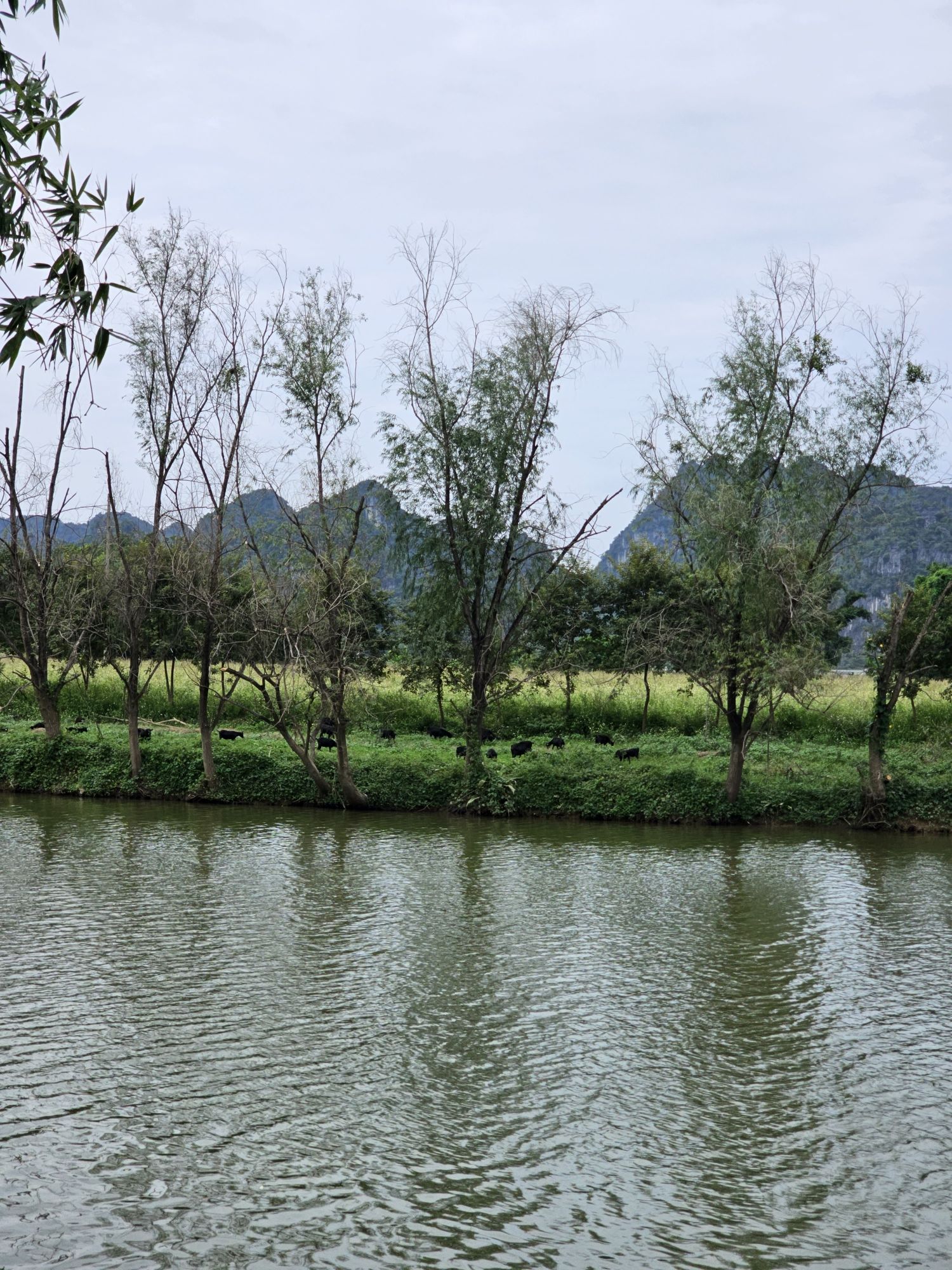上林霞客桃源壮乡旅游度假区旅行图片 2