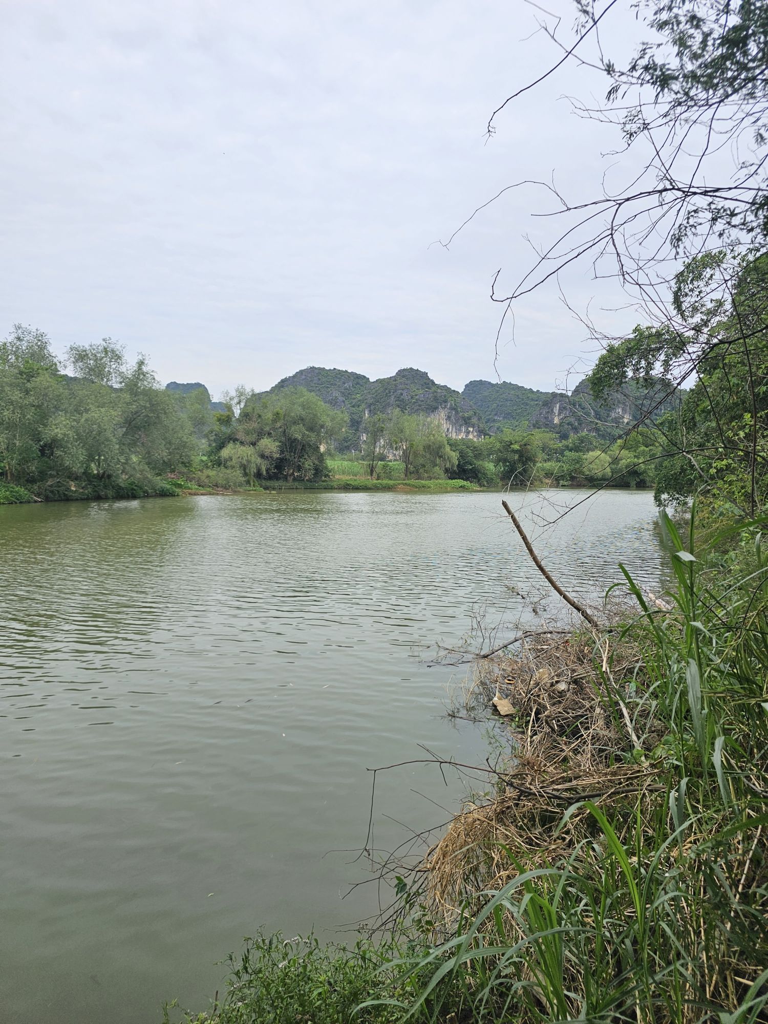 上林霞客桃源壮乡旅游度假区旅行图片 3