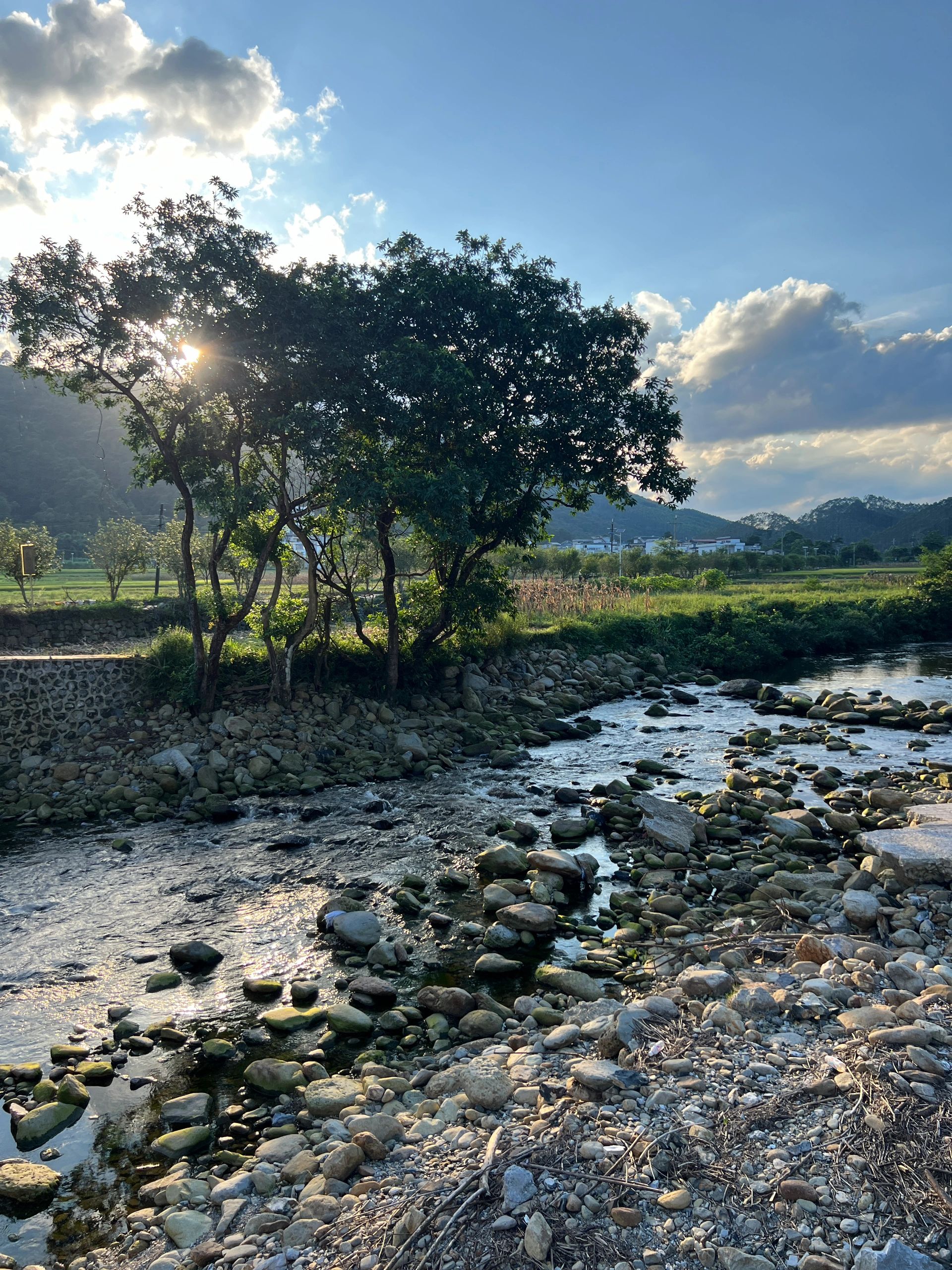 大龙湖风景区旅行图片 1