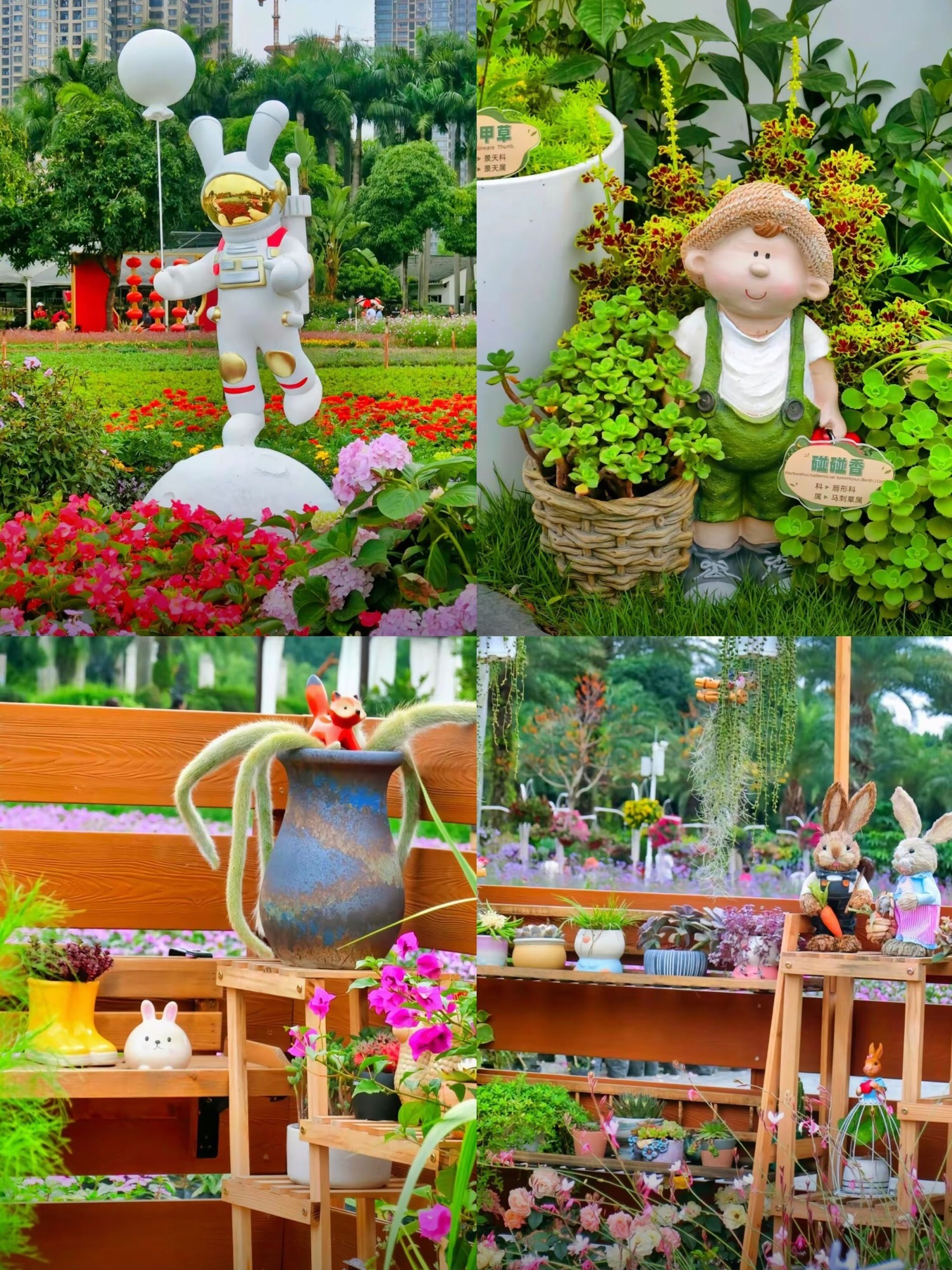 南宁市花卉公园旅行图片 3