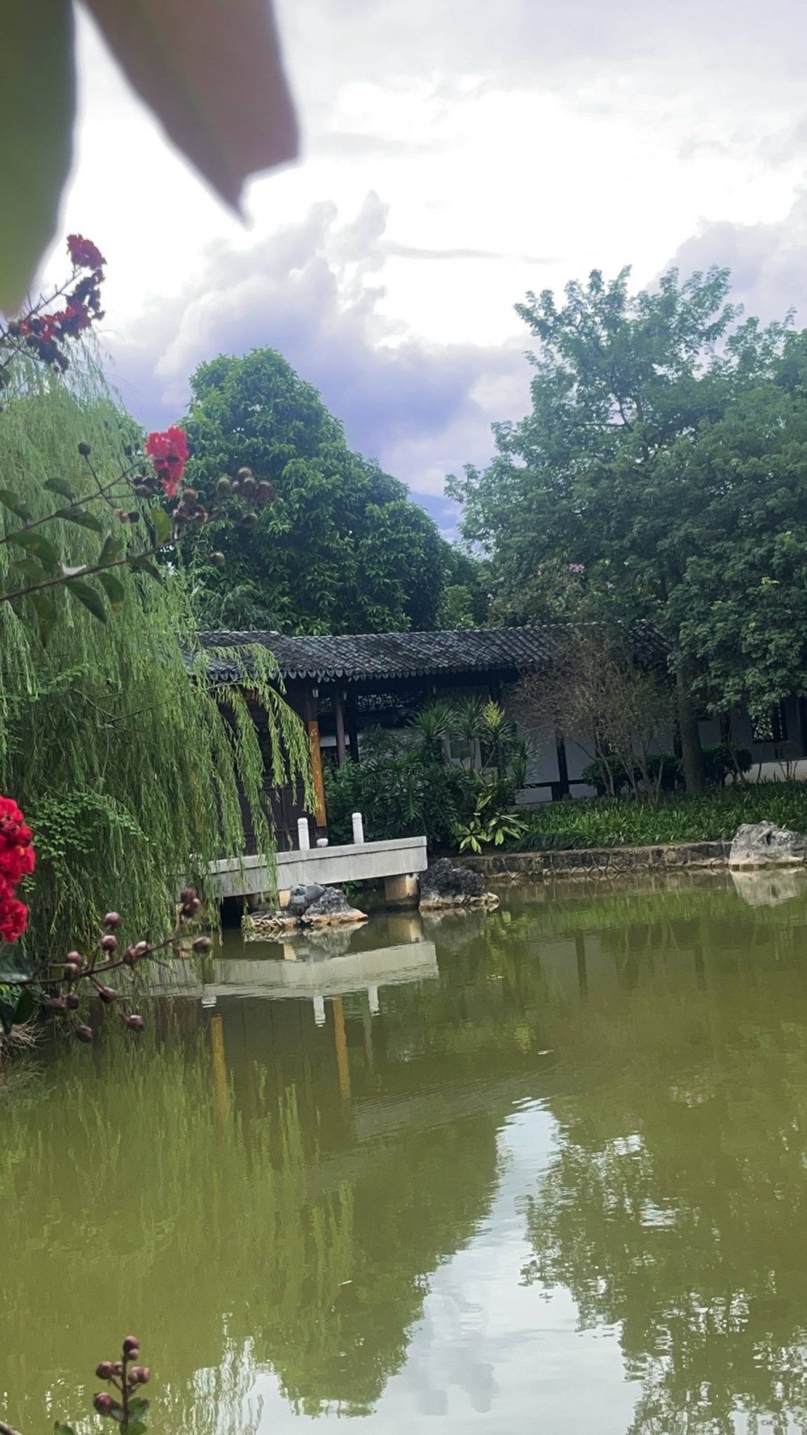 南宁市花卉公园旅行图片 2