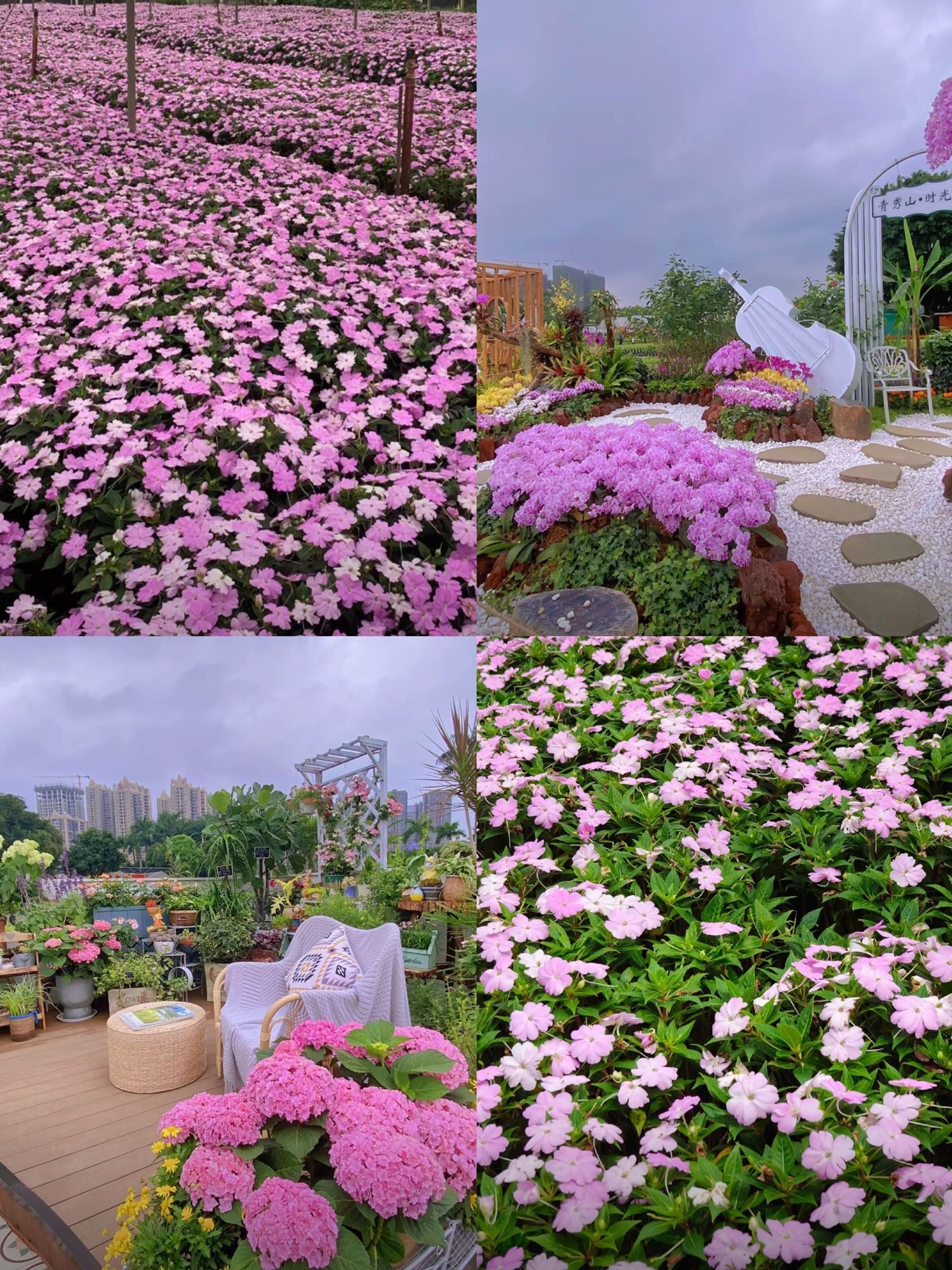 南宁市花卉公园旅行图片 1
