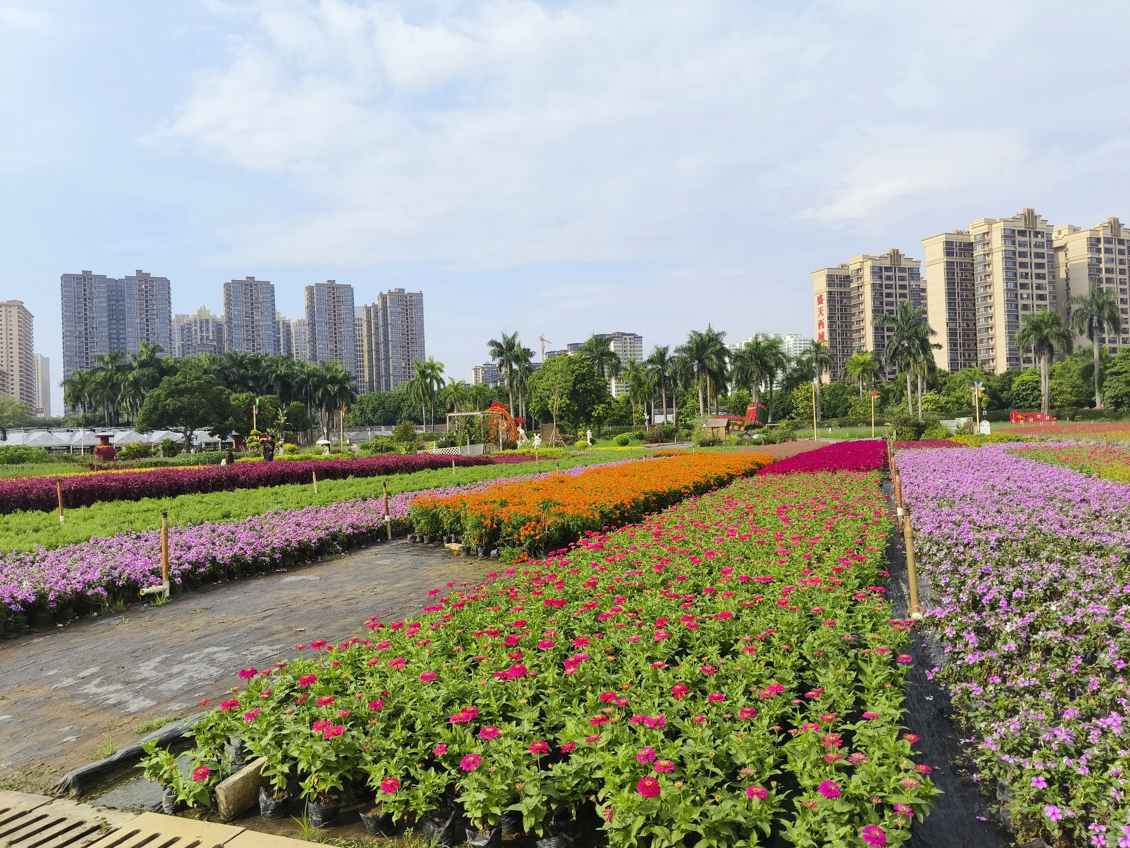 南宁市花卉公园