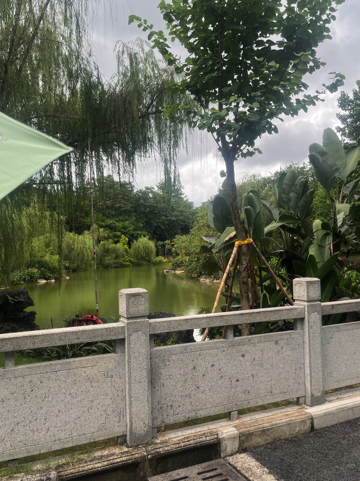 南宁市花卉公园旅行图片 1