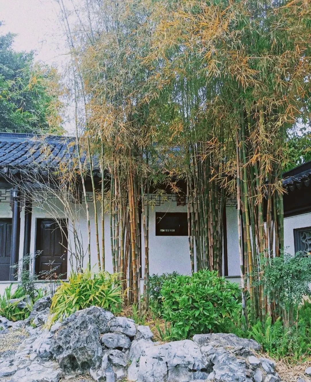 南宁市花卉公园旅行图片 2